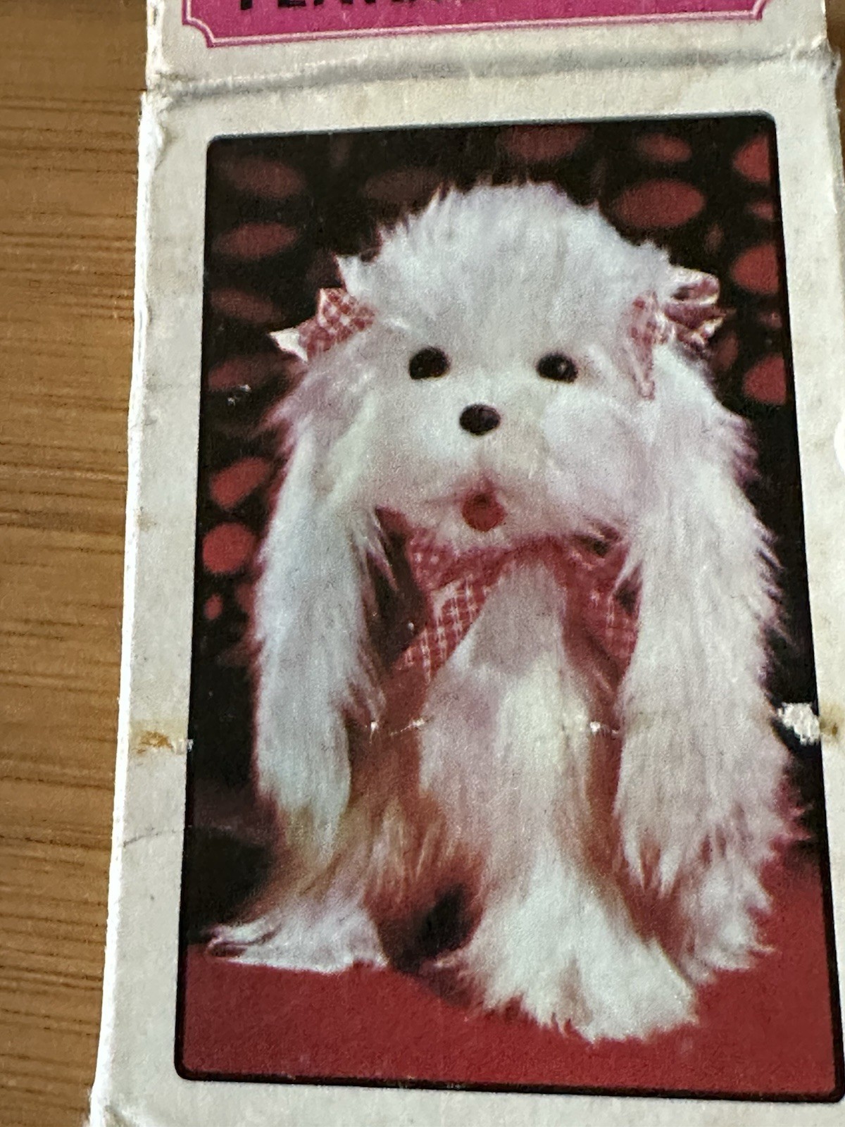 Cute Little Toy Puppy. She Looks Real. That’s why Everyone Loves Her.