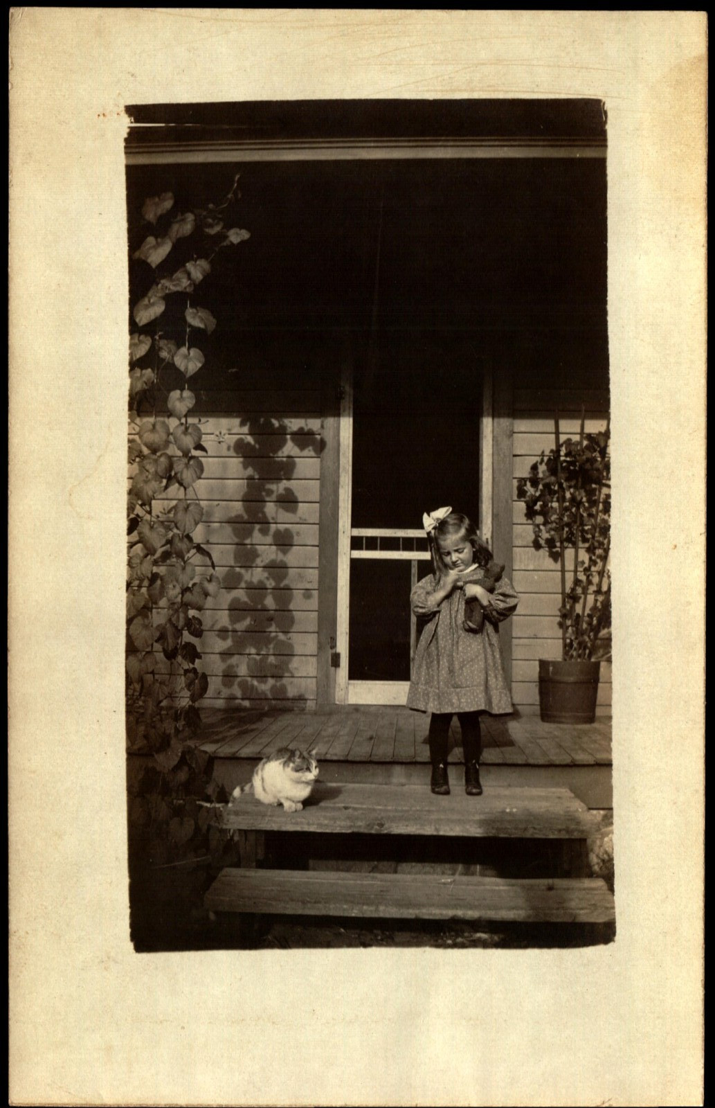 RPPC Postcard Young Girl with Cat and Doll c1910 F14