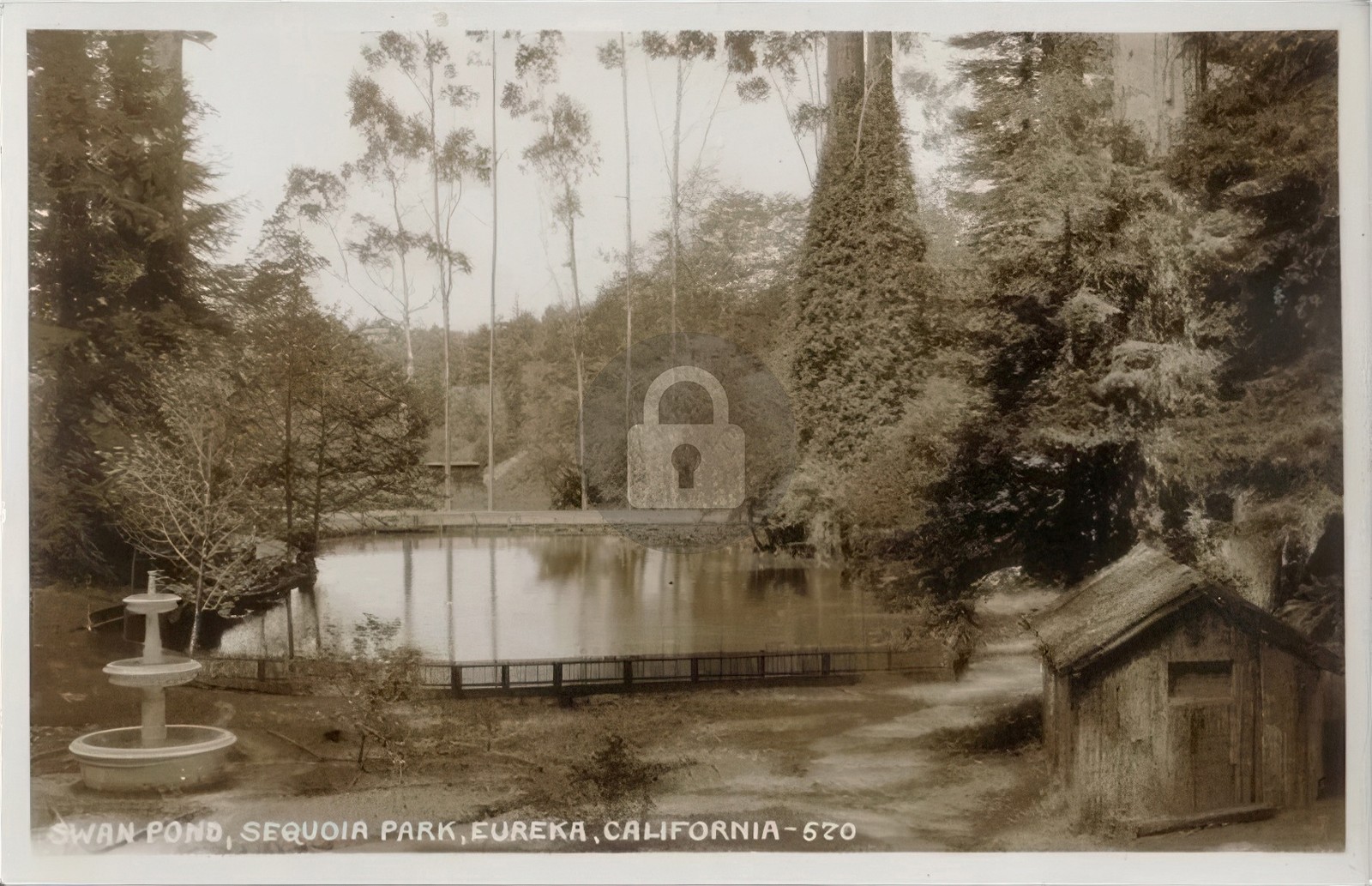 c1920s Sequoia Park Pond Eureka CA Humboldt County RPPC Photo Postcard COPY