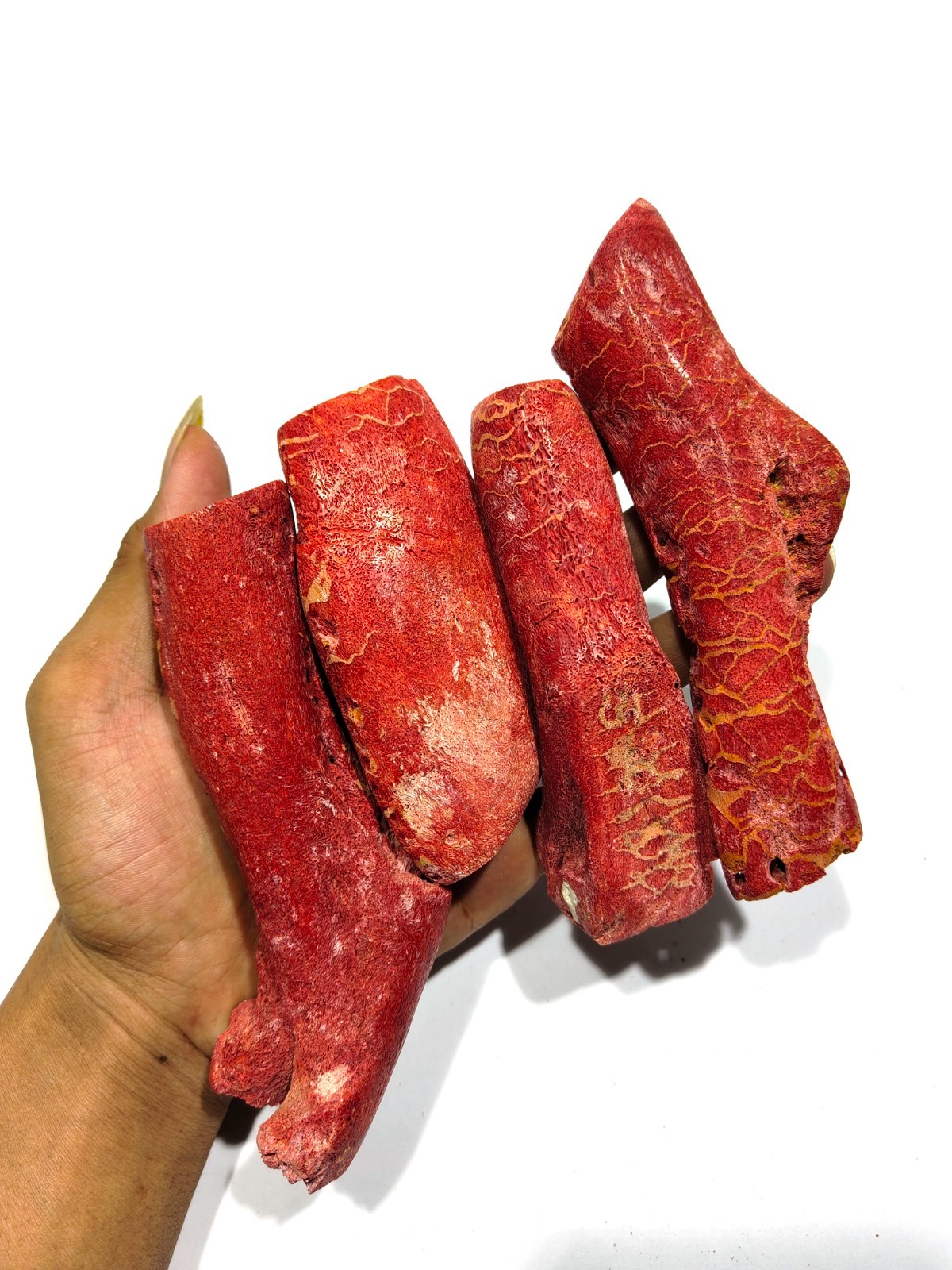 Rare Natural 4pcs Genuine RED Coral  Branch Specimen for jewelry 420 g