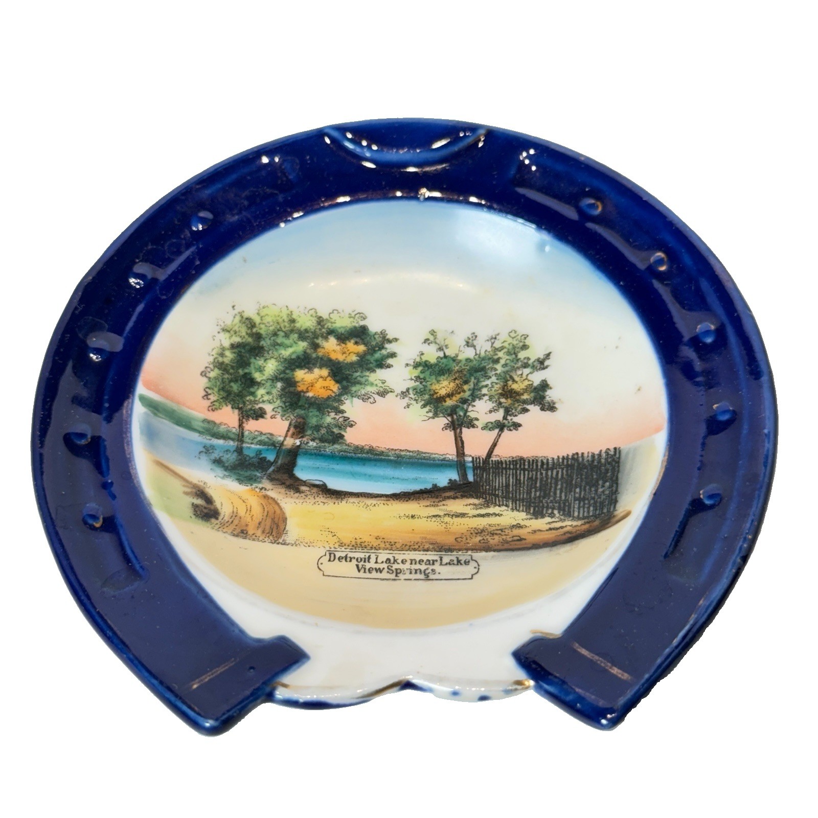 DETROIT MINNESOTA MN Antique LAKE VIEW SPRINGS Souvenir TRINKET COBALT DISH