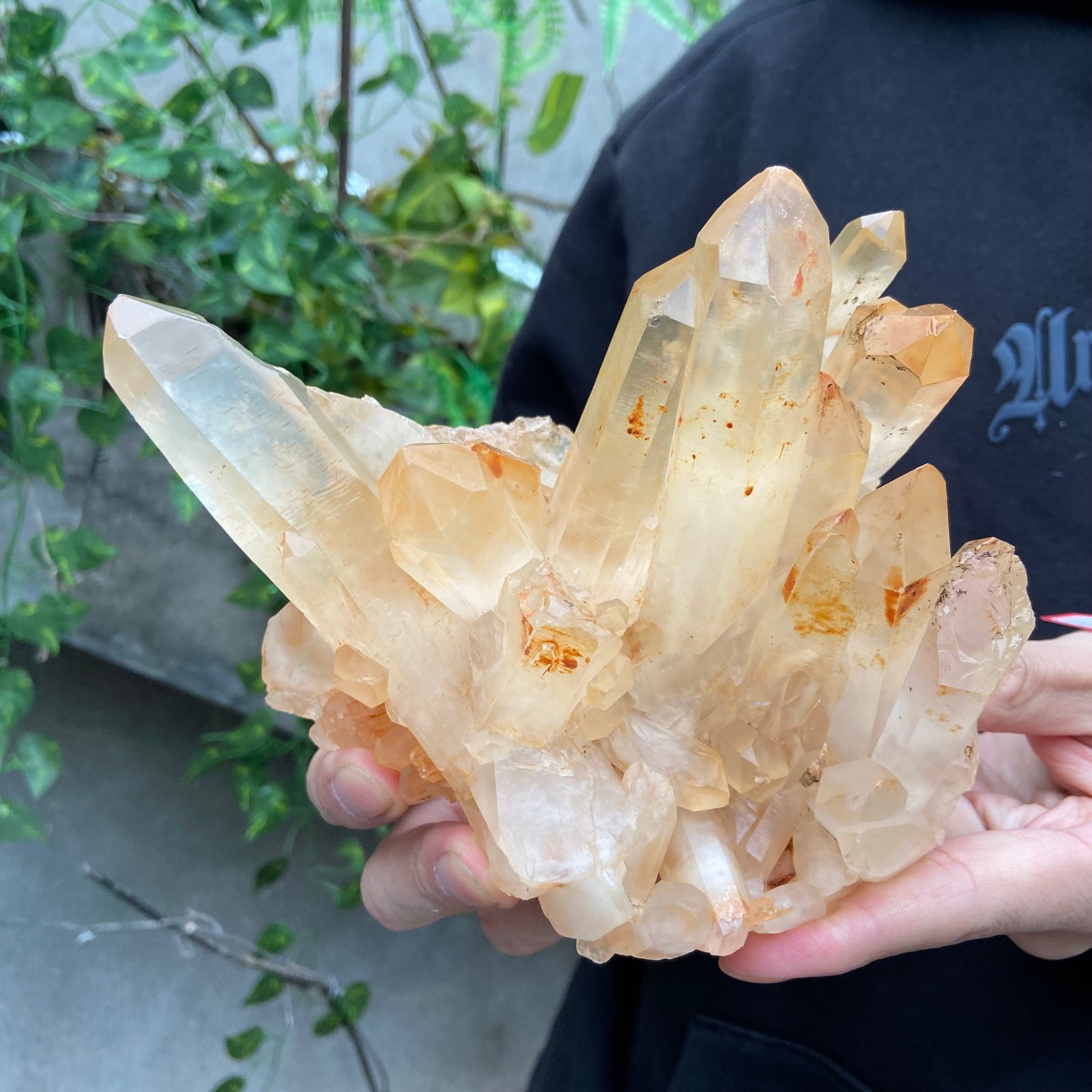 2.7lb Natural Clear White Quartz Crystal Cluster Rough Healing Specimen