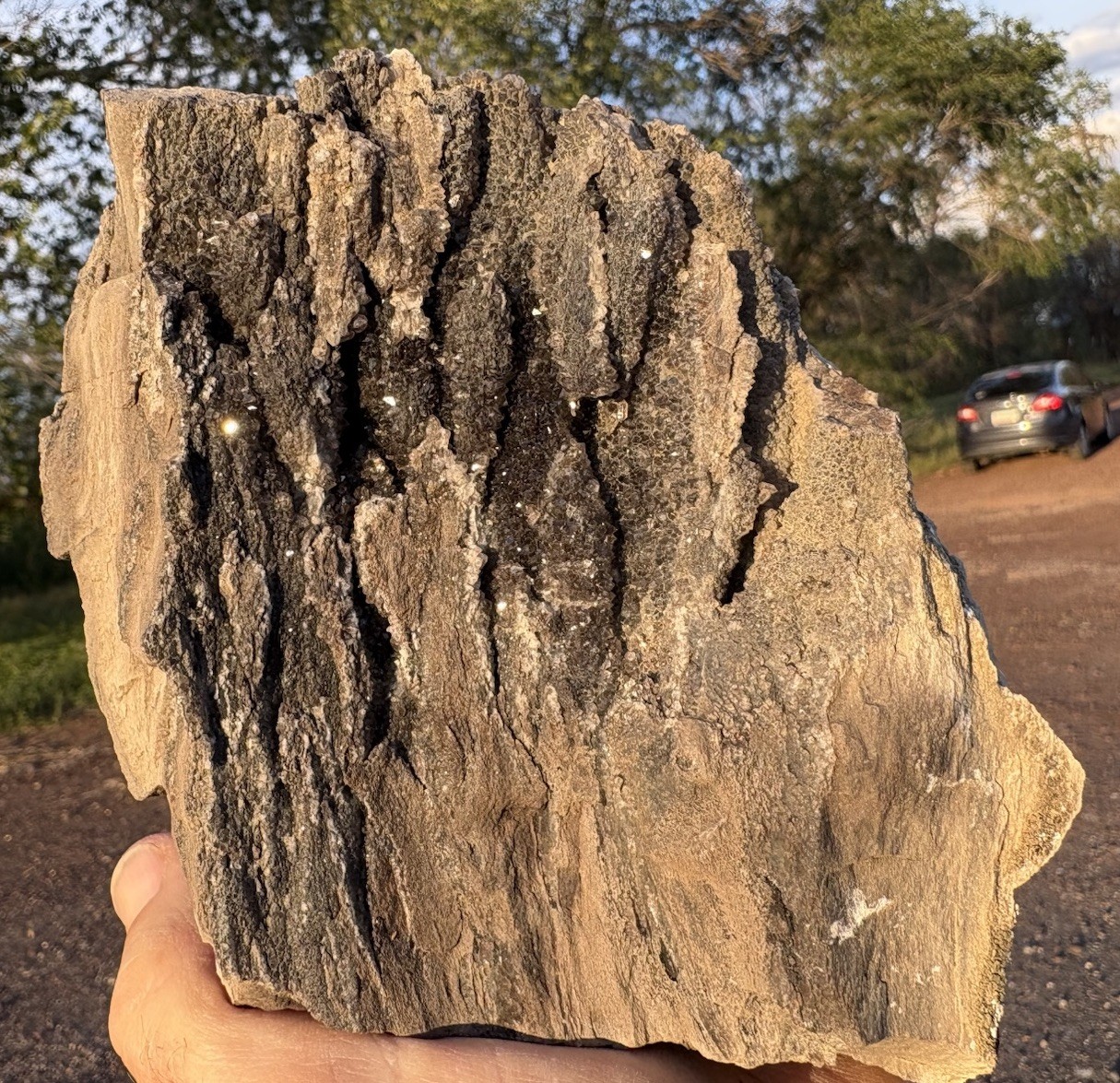 ☘️RR⛏️: Sparkly Dark Smoky Quartz From Fire Layer AZ. Petrified Wood 2 Lb.