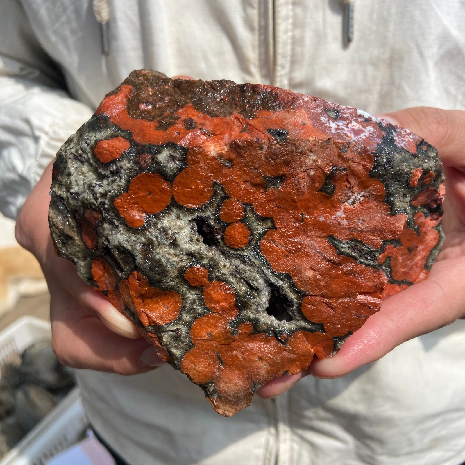 2LB   Rare Natural Raw Ocean Jasper Rough Quartz Crystal Mineral SpecimeM