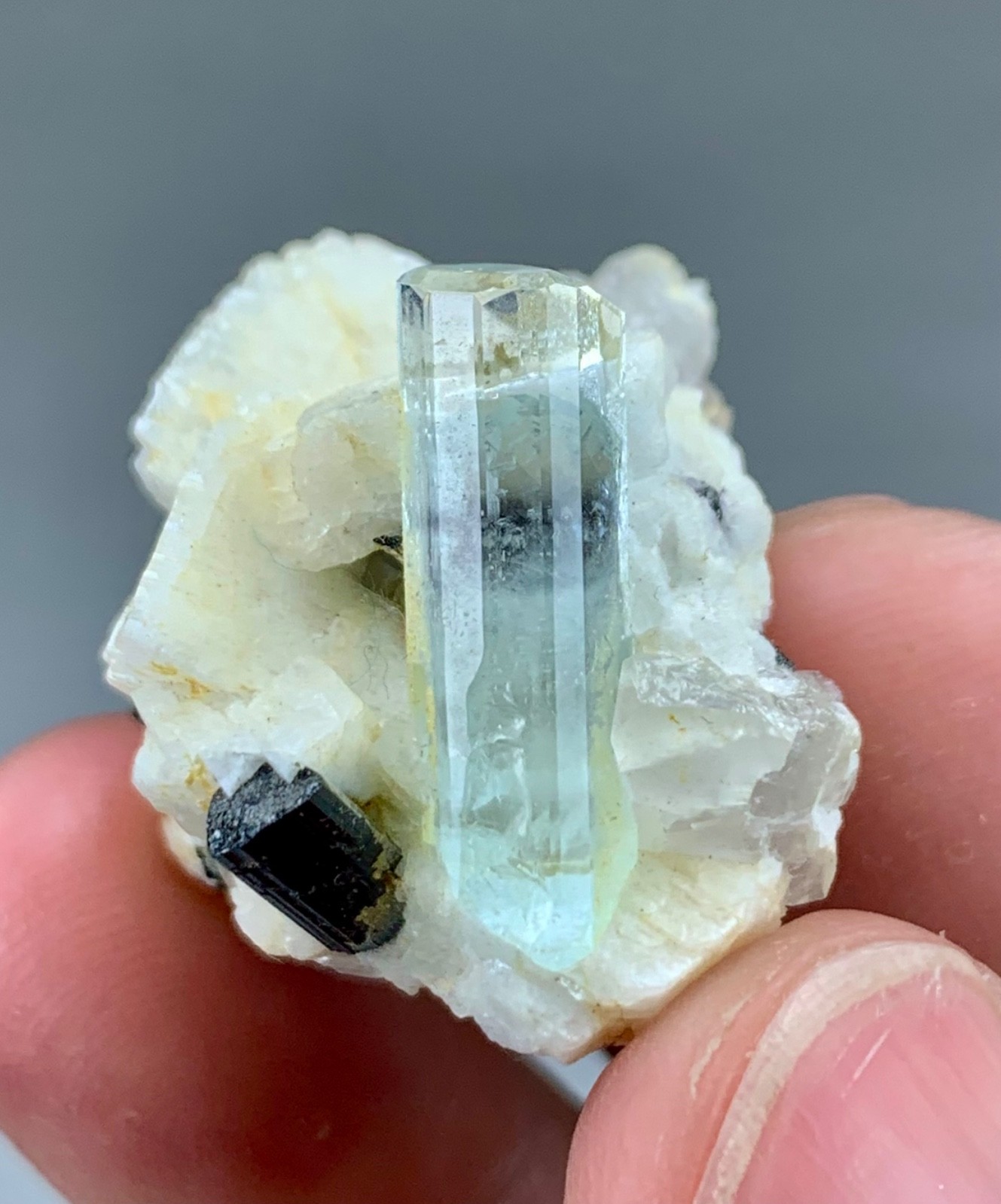 17gram Natural Transparent Aquamarine Crystal Combine Albite Matrix & Schorls
