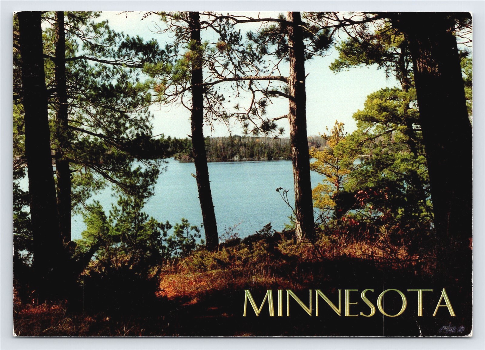 Minnesota Lake Scene Vtg MN Postcard Scenic View 4x6 Continental Posted