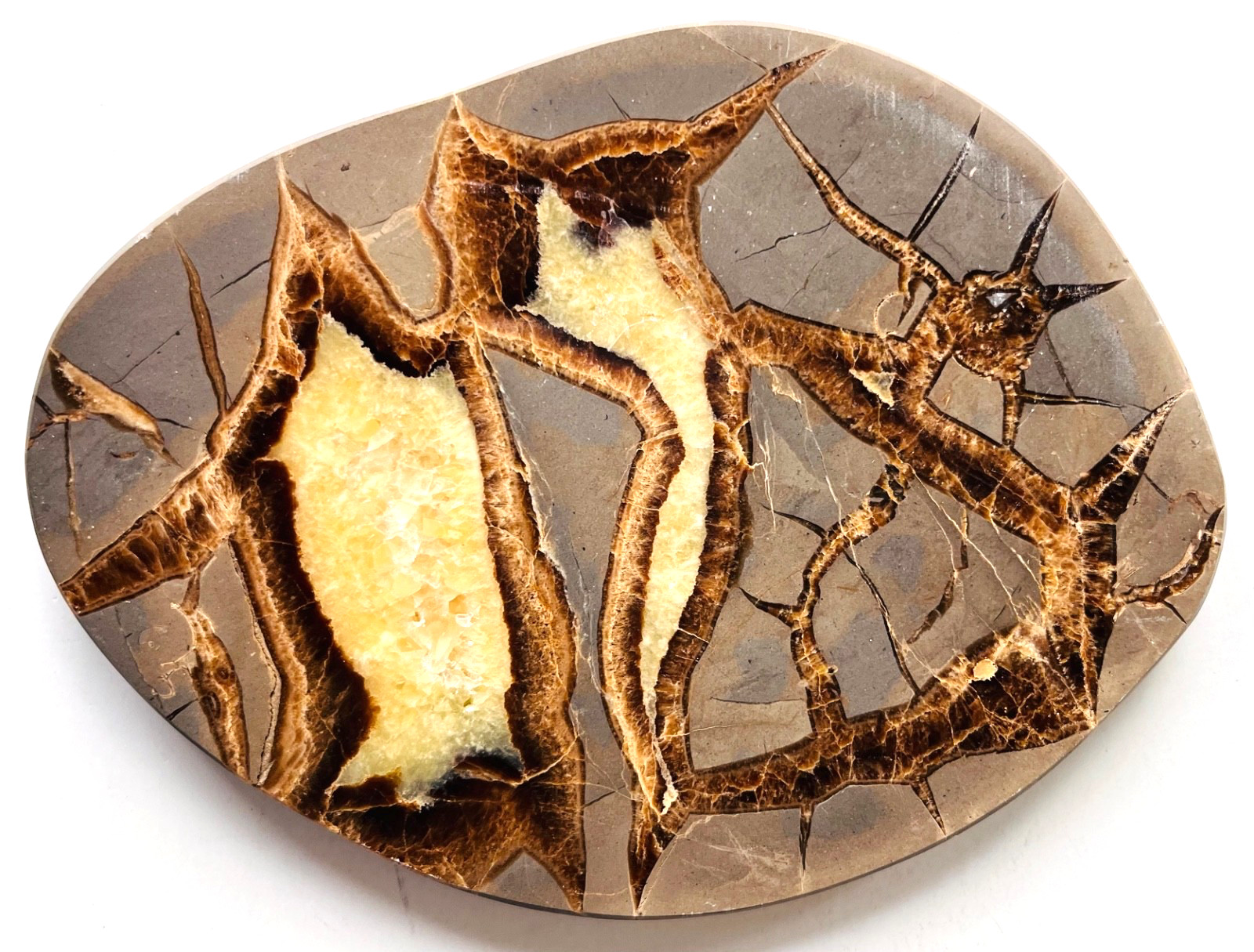 Large 388 gram Polished SEPTARIAN Nodule Lapidary Slab Rock Slice 6