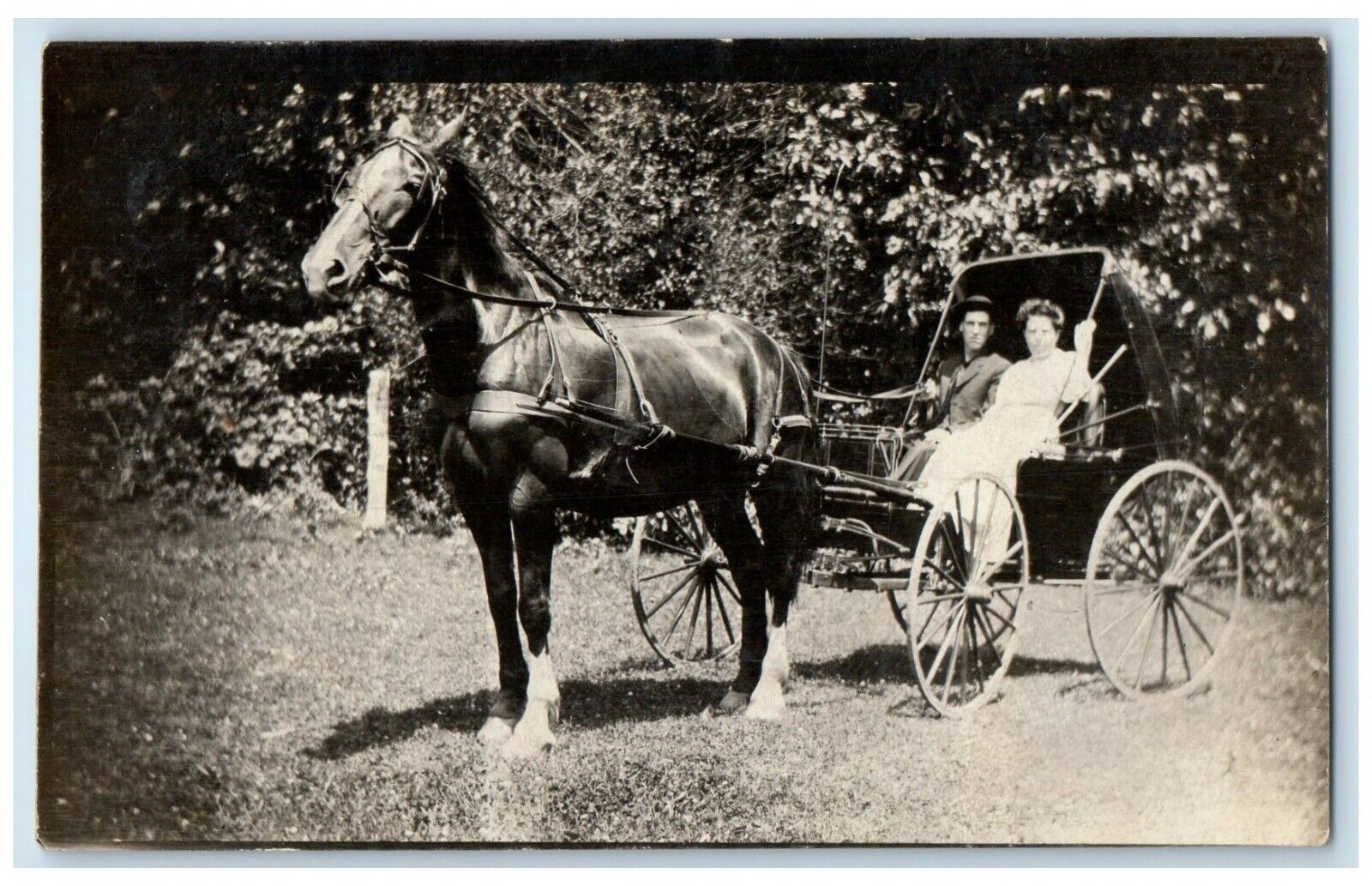 1908 Horse Carriage Morrisville Wisconsin WI RPPC Photo Posted Antique Postcard