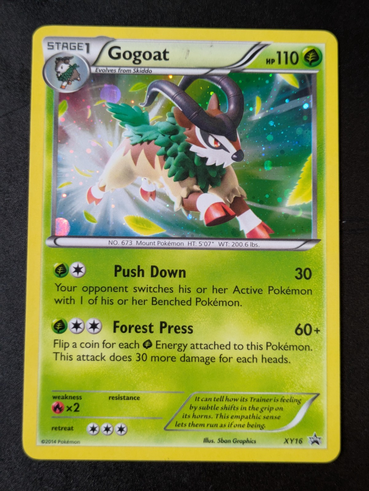 Pokemon - DP - HGSS - BW - XY - Black Star Promos