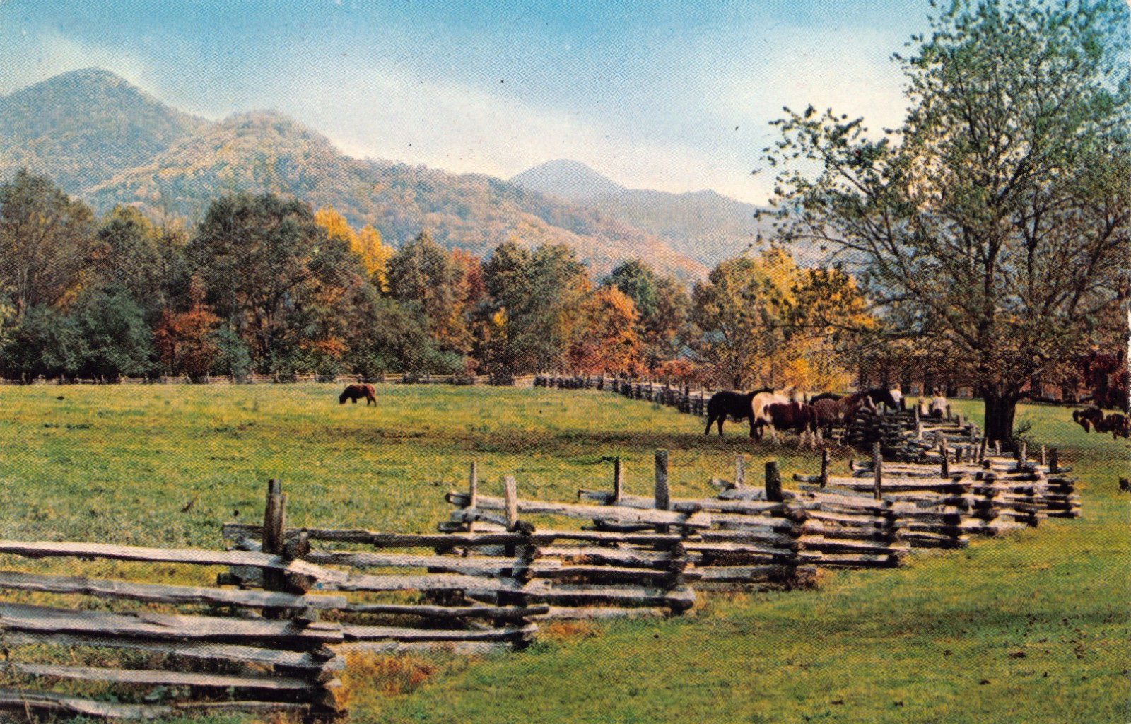 GA~GEORGIA~DILLARD~DILLARD HOUSE RESTAURANT~VIEW OF MOUNTAINS & GROUNDS