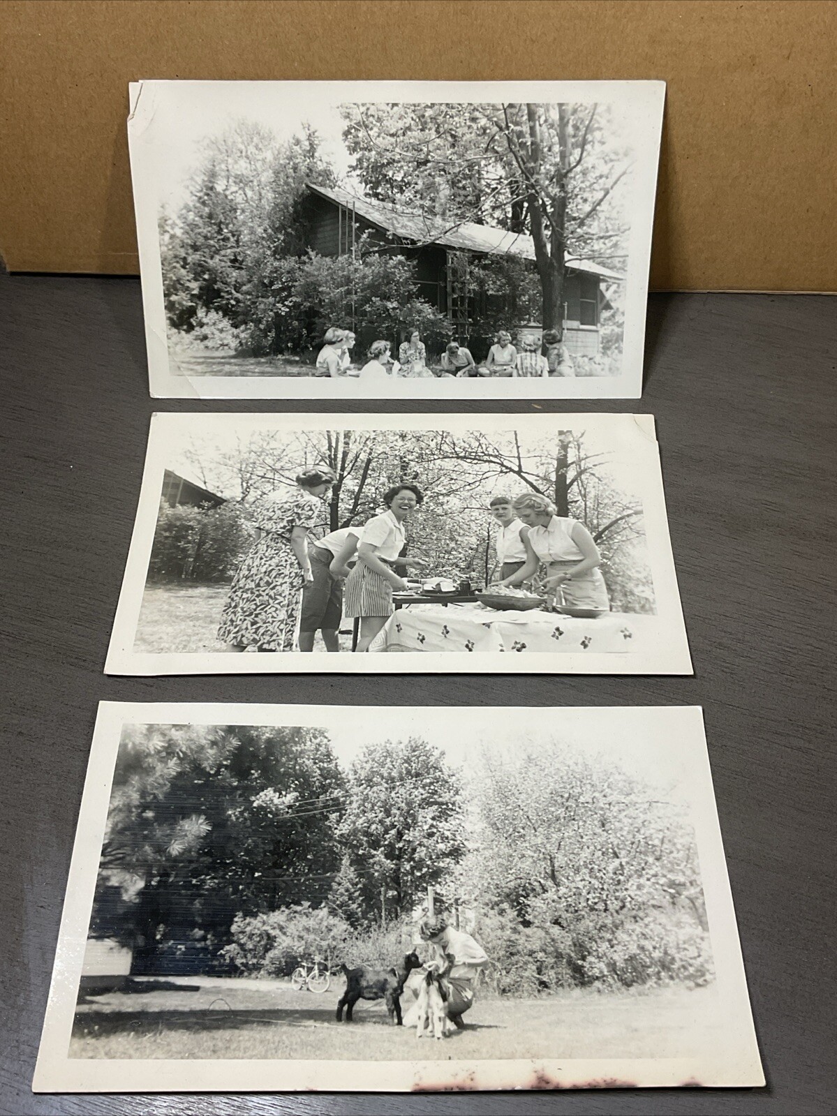 19 May 1951 Photo East Northfield Ma Girls School Picnic Betty Eaby *desc B22