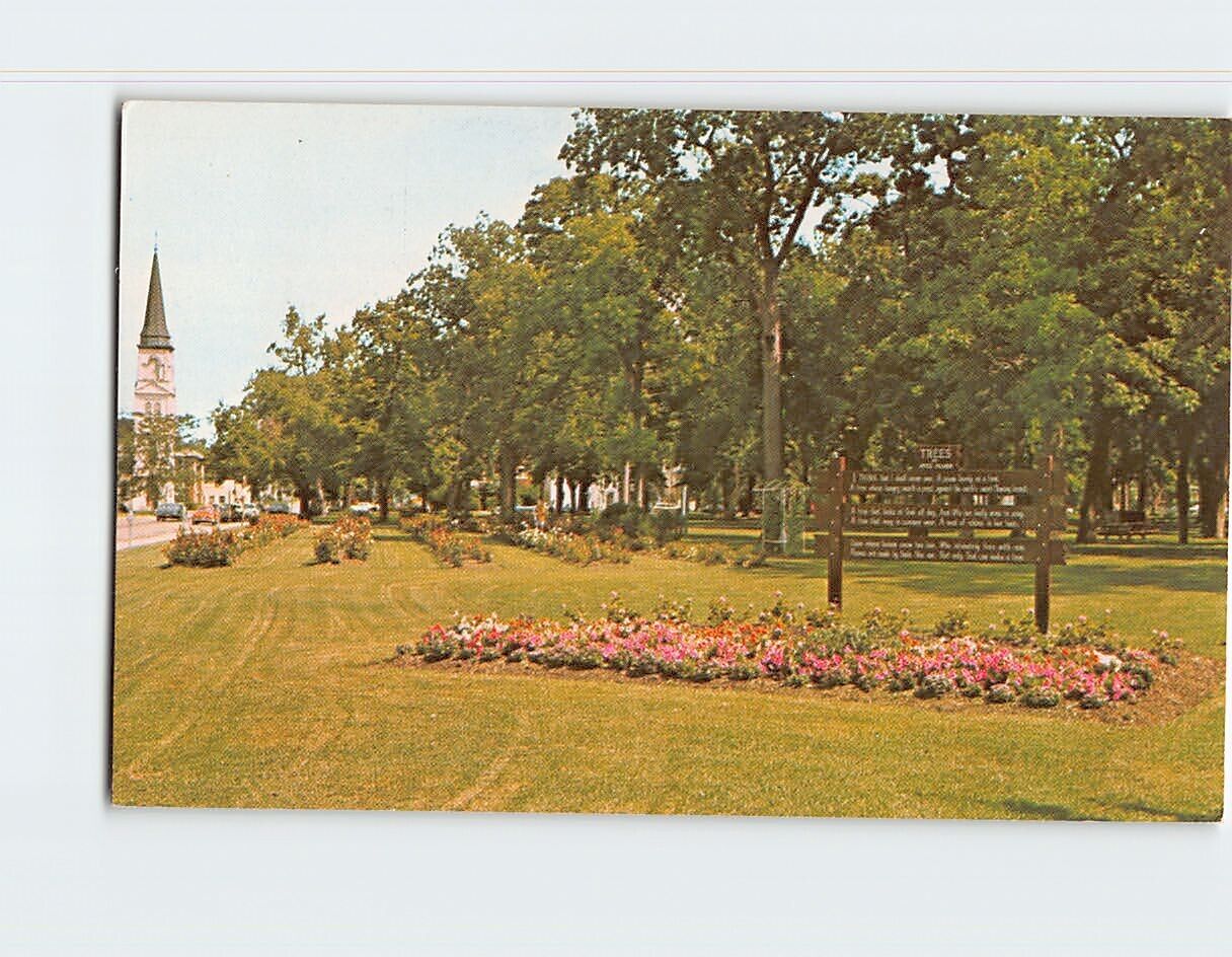 Postcard Beautiful Flowers, Trees & Shrubs at City Park Streator Illinois USA
