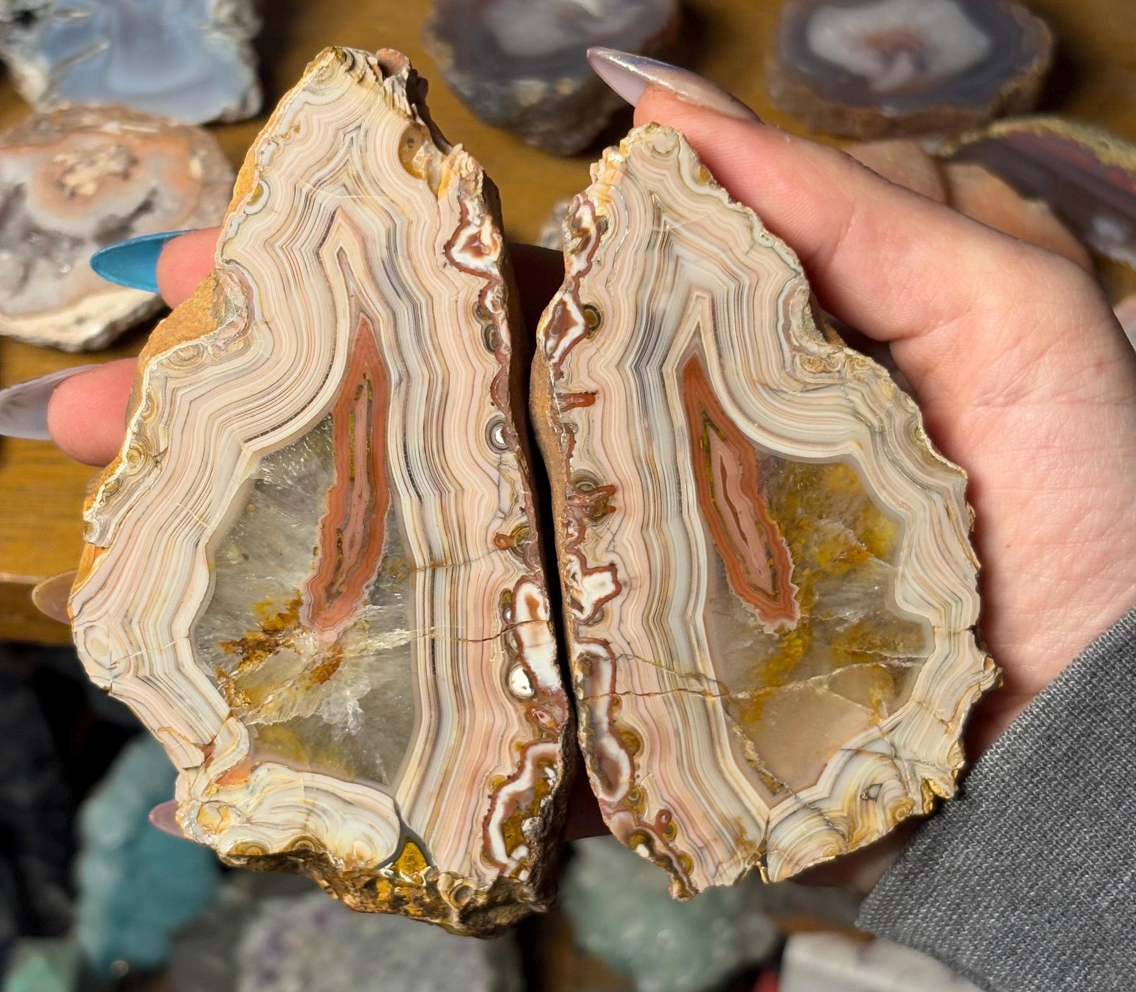 Rare Wave Hill Agate Pair | Collector Grade Australian Fortification Agate