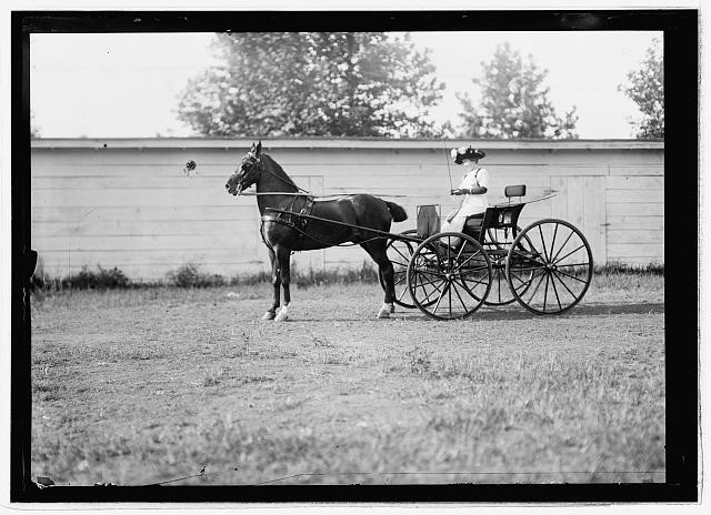 Photo:Horse show July 1912 horse and carriage driver