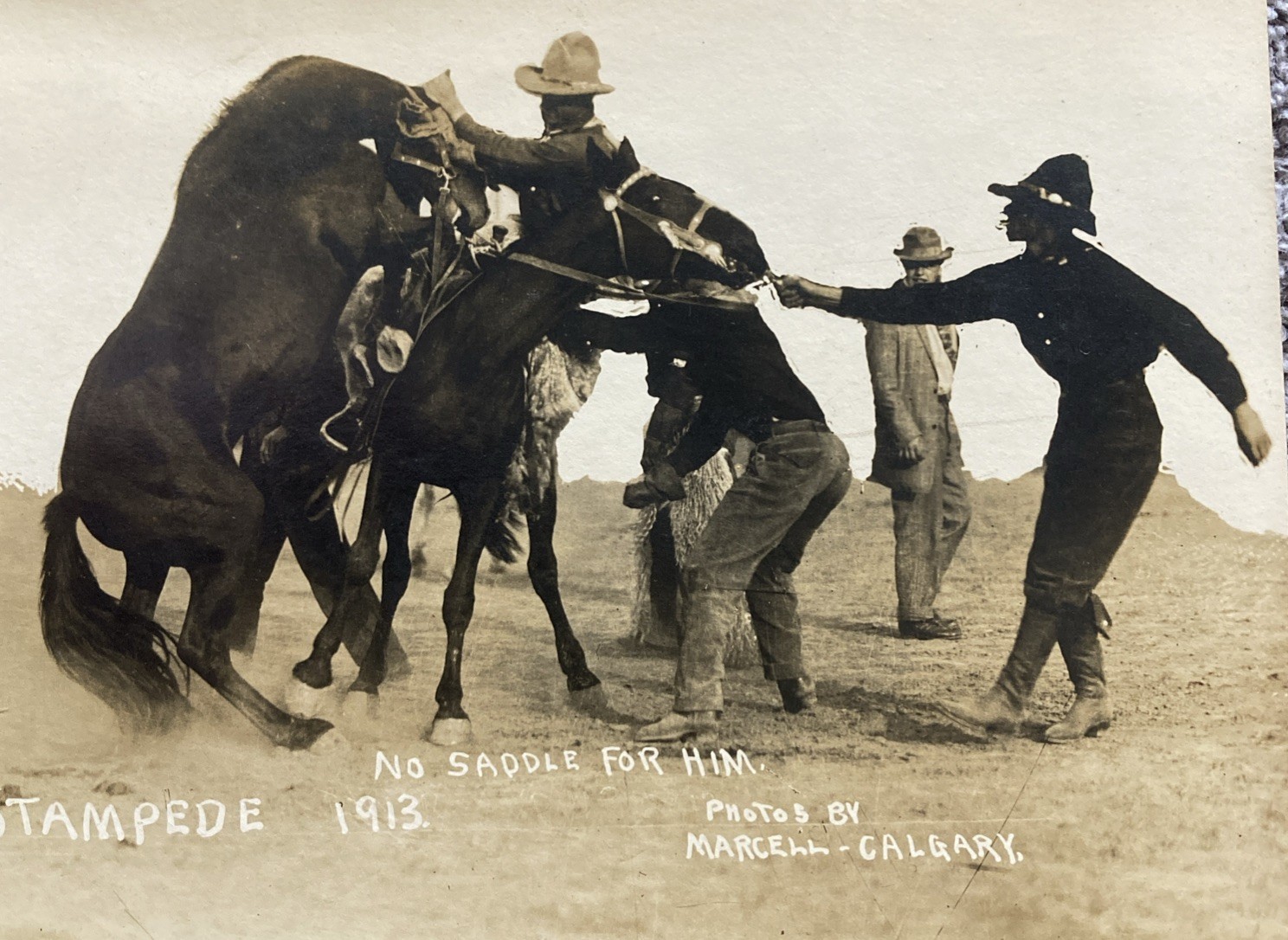 Winnipeg Stampede No Saddle For Him 1913 RPPC Postcard