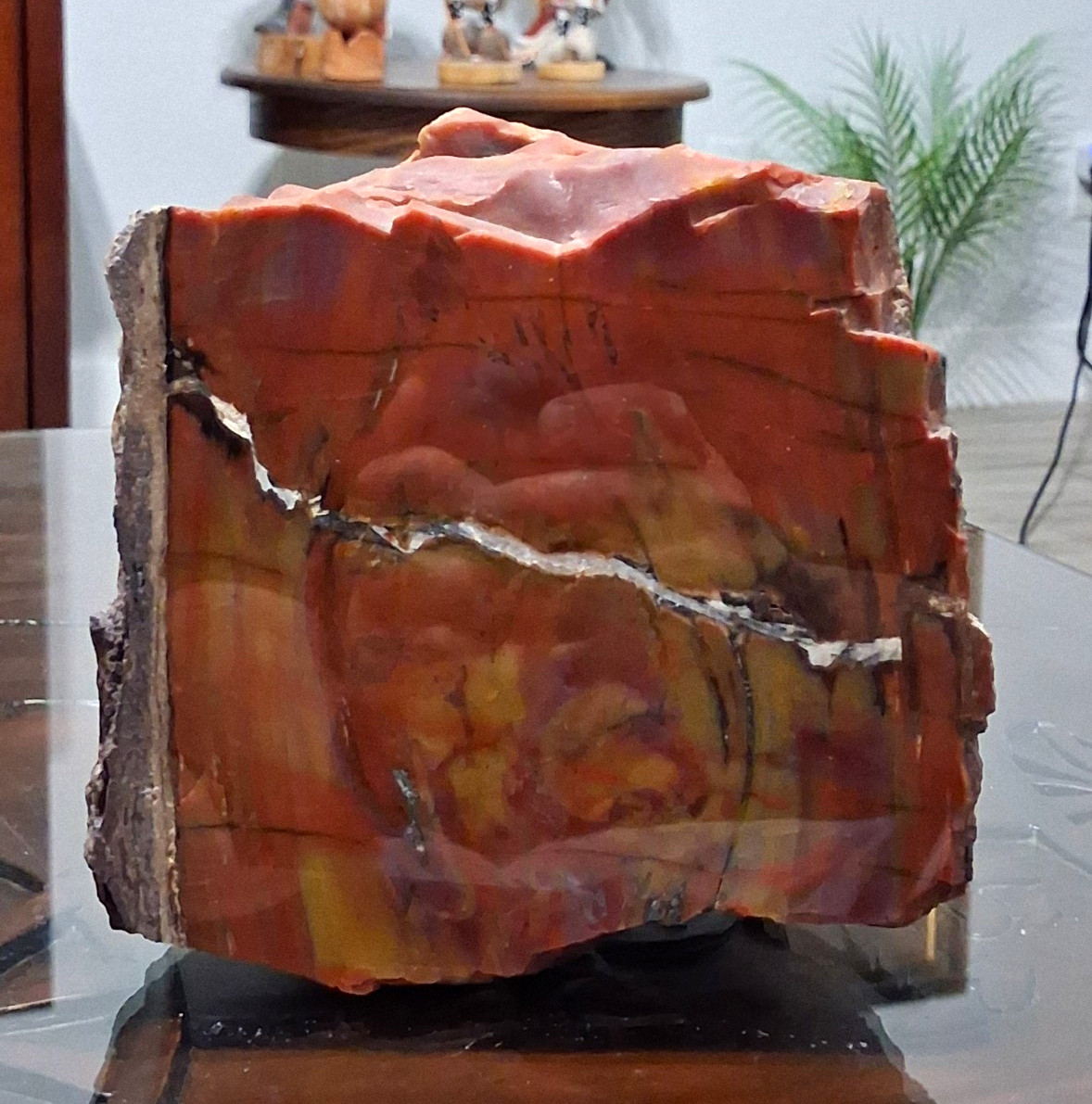 Beautiful 8 Pounds Of Polished Arizona Rainbow Petrified Wood Piece. Nice Size