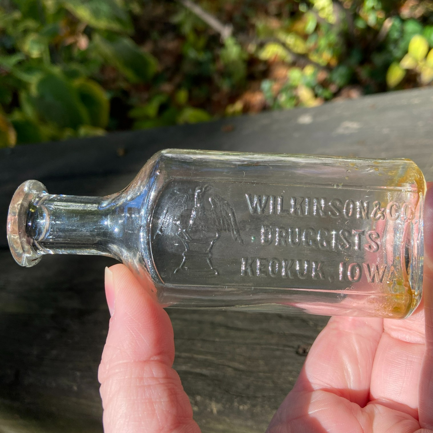 Antique PICTORIAL EAGLE Wilkinson & Co. Keokuk, Iowa Medicine / Pharmacy Bottle