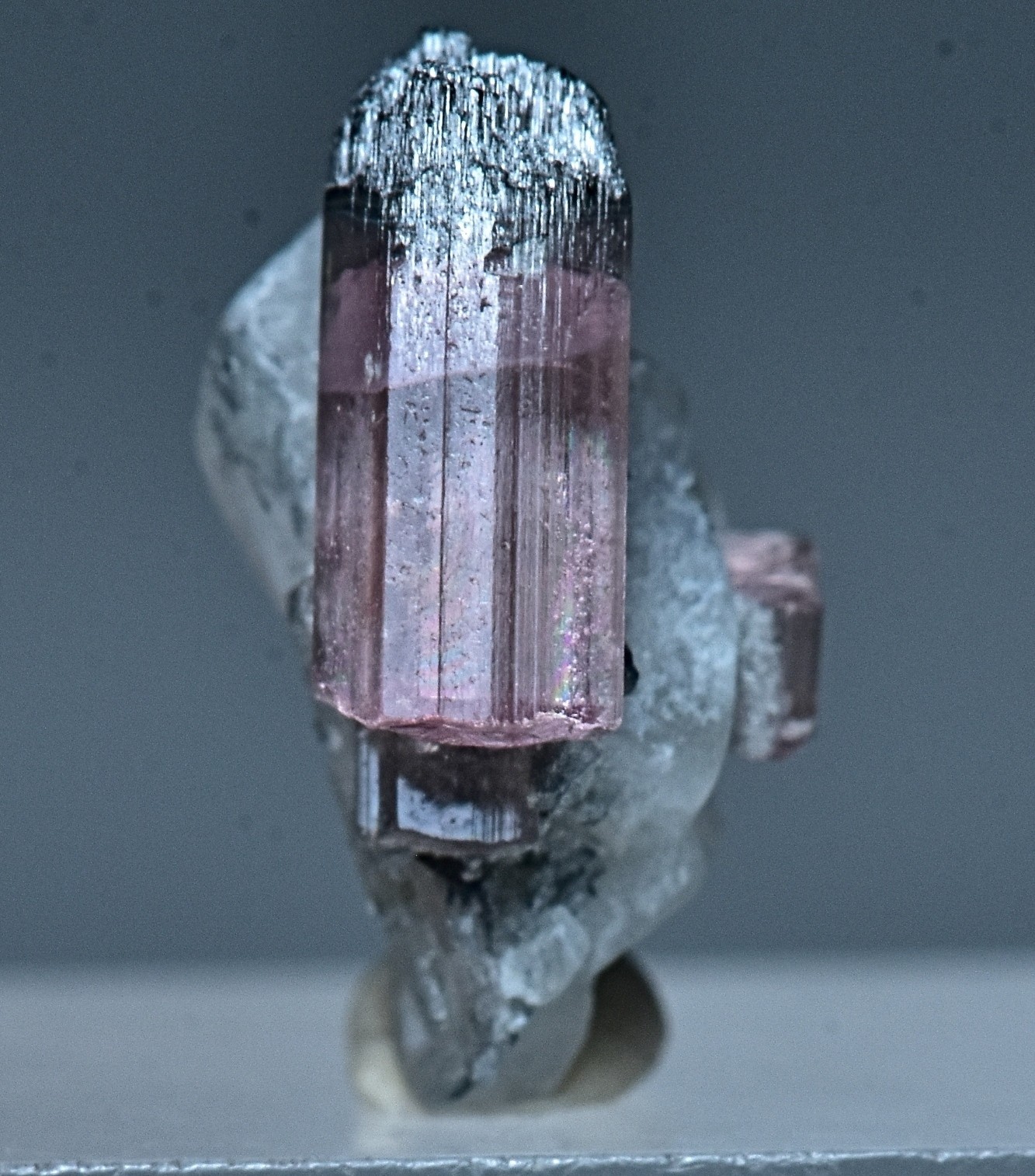 Unusual Natural Pink Tourmaline Crystal On Quartz Crystal 3.40 Carat