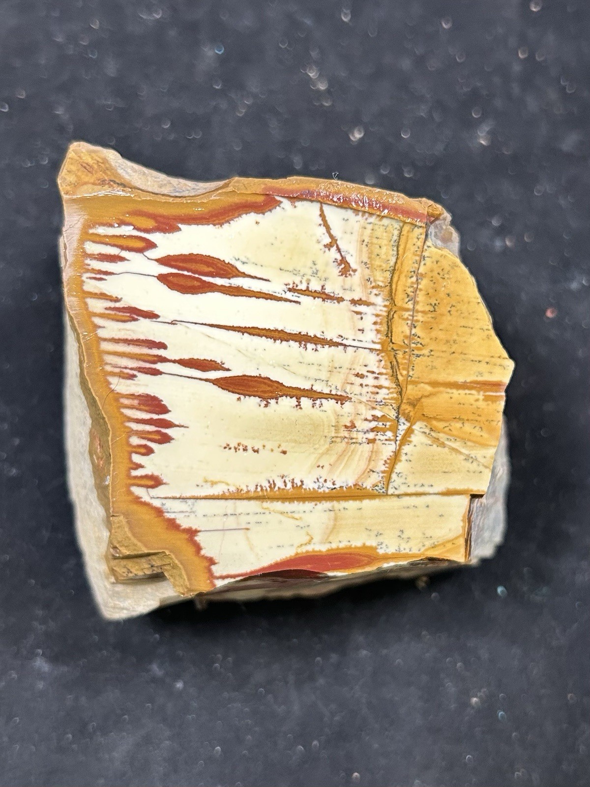 798g Old Stock Owyhee Picture Jasper Rough Gem Grade Solid Lapidary Specimen
