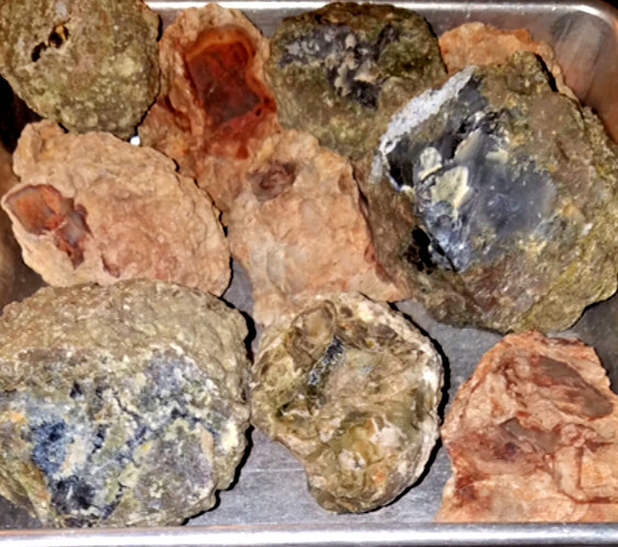 10 LB LOT = 5 to 8 Oregon Thundereggs HALVES Rough Lapidary Rocks T-Eggs