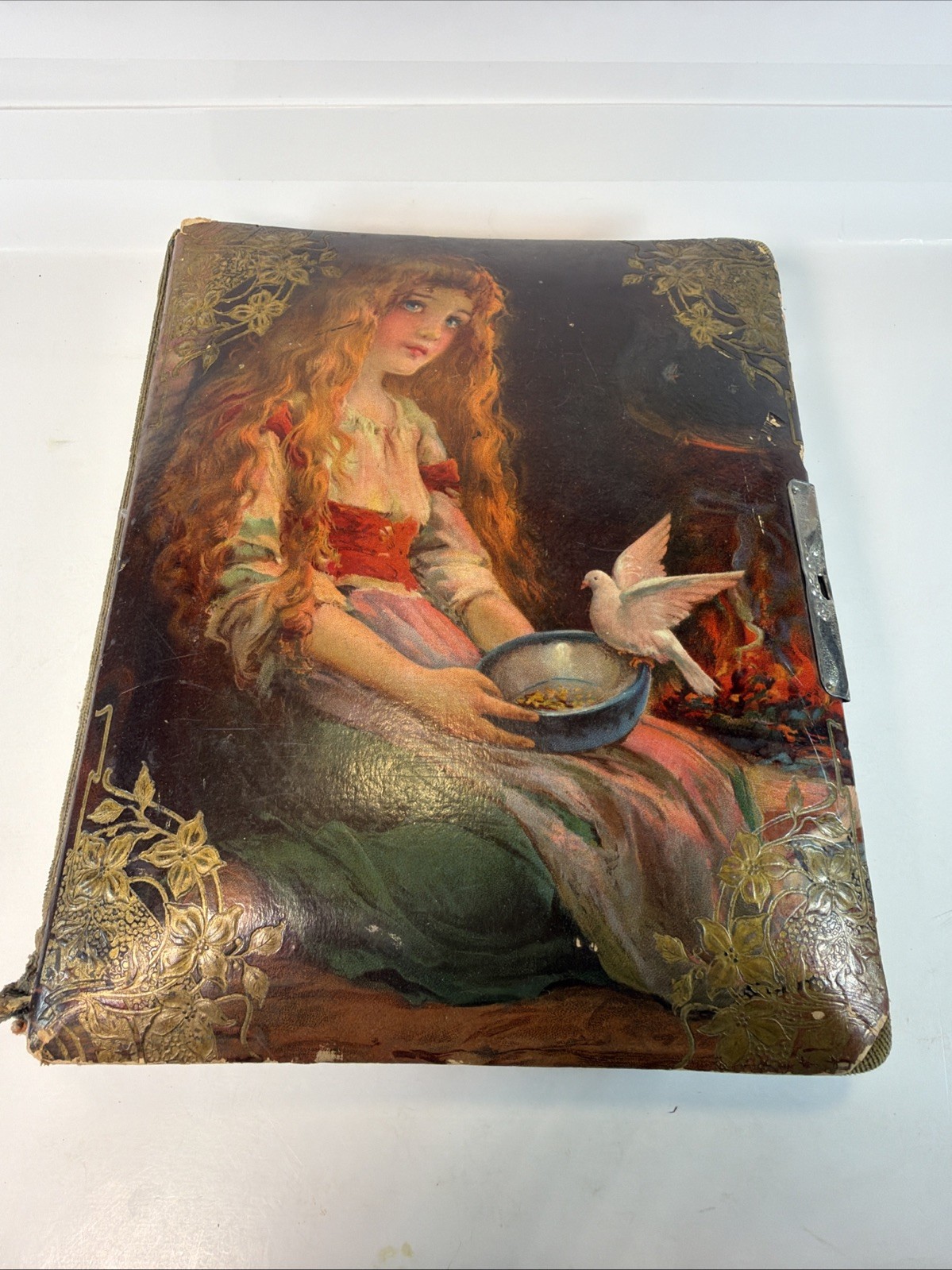 Antique Victorian / Art Nouveau Photo Album Celluloid Padded Cover W/ Photos