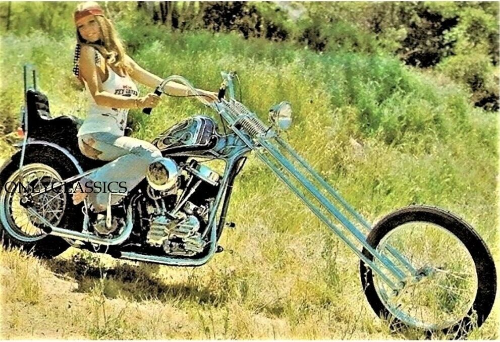 Roberta Pedon Harley Davidson Panhead Chopper Motorcycle 5x7 PHOTO Busty Pin Up