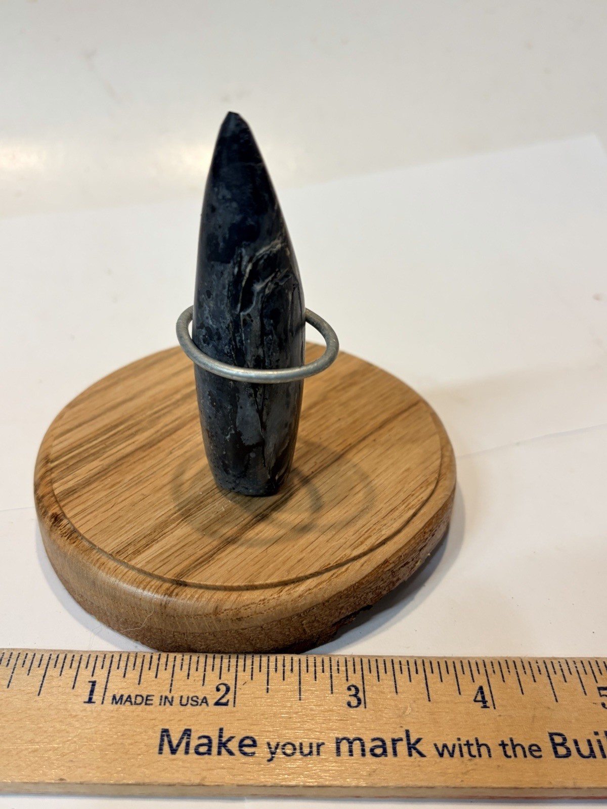 INCREDIBLE SPERM CETACEAN TOOTH FOSSIL POLISHED 3.25”