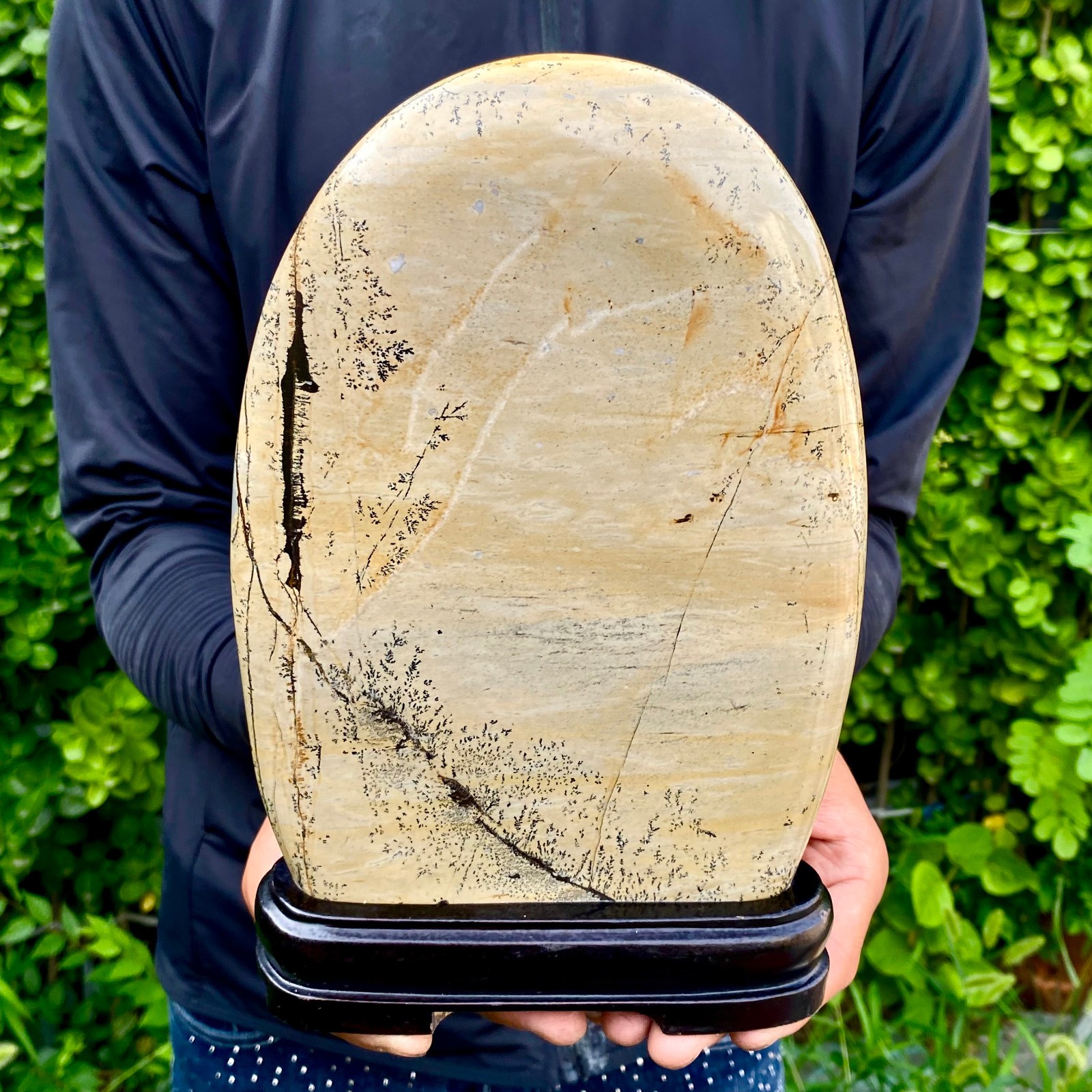 4.38LB Beautiful Natural Chinese Dendritic Limestone Picture Stone Guohua-Rare