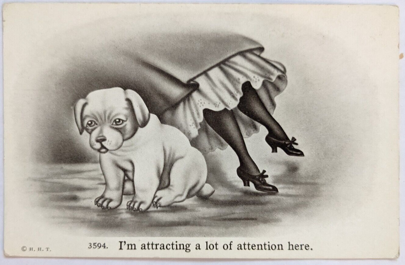 I'm Attracting A Lot of Attention Puppy Woman's Ankles Feet Legs HHT Postcard E1