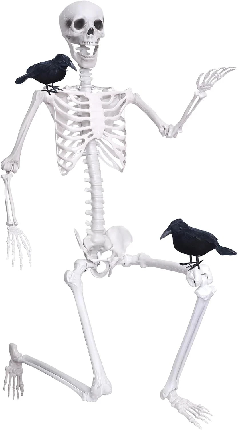 Wocst 6FT Life Size Posable Halloween Skeleton 2 Black Feathered Crows Set