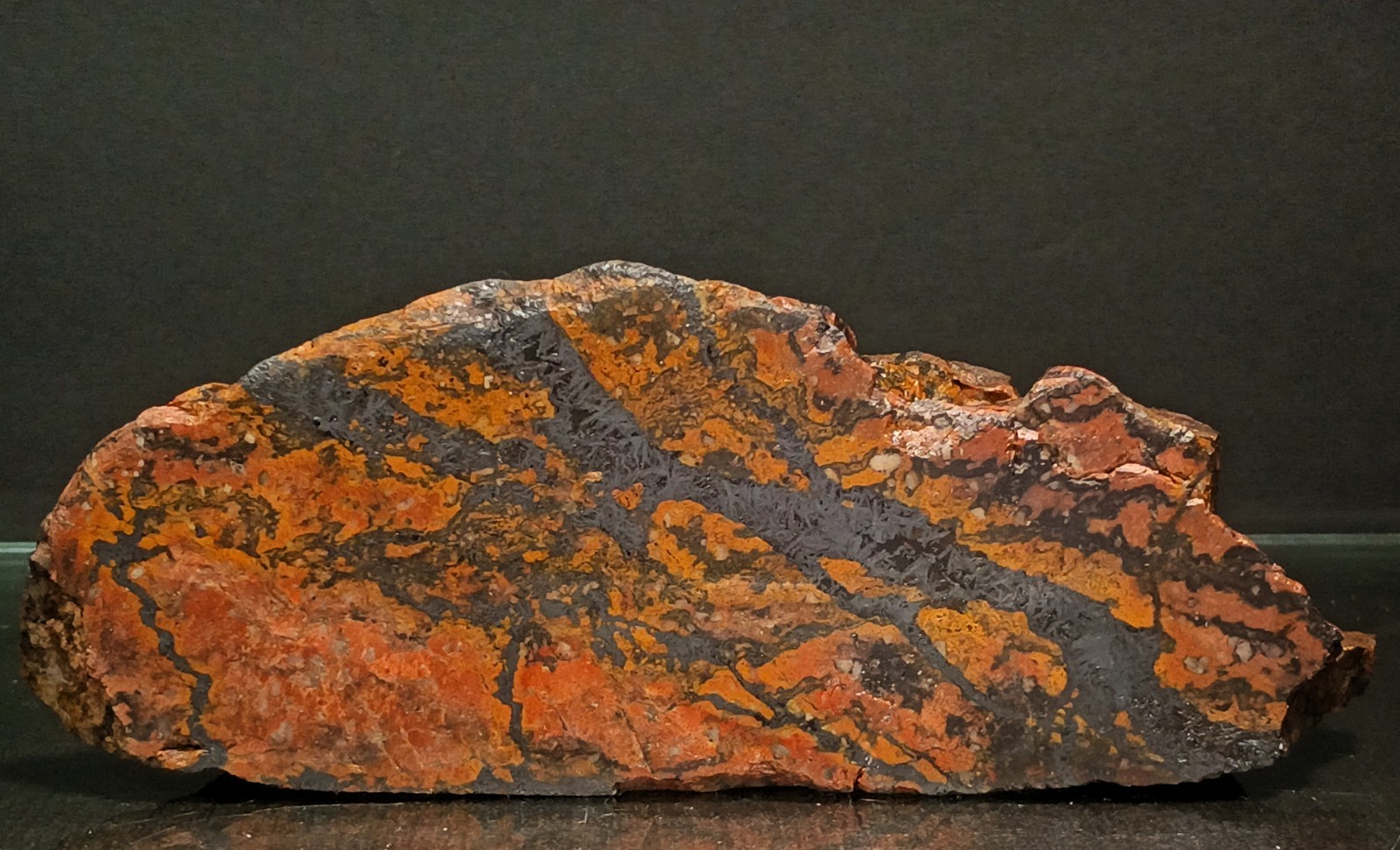 Shepard's Fire Specular Hematite Rhyolite Porphyry 2lb 9.5oz polished  Missouri