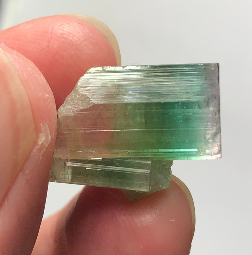 24 Cts Natural Tri Color Tourmaline Terminated Crystal Sourced from Afghanistan