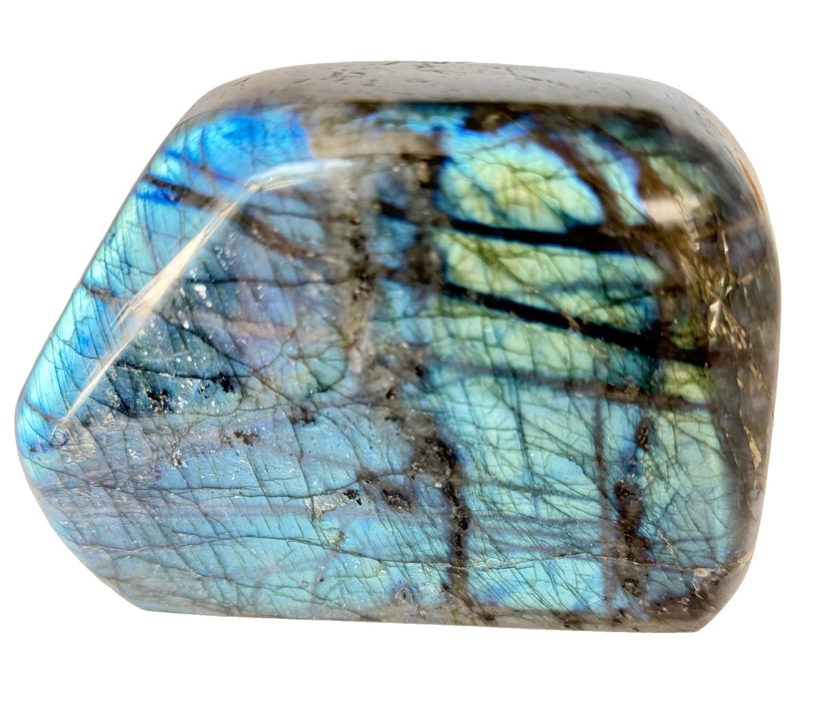 6 Lb. Large Gorgeous Blue Flash Labradorite Freeform Quartz Crystal