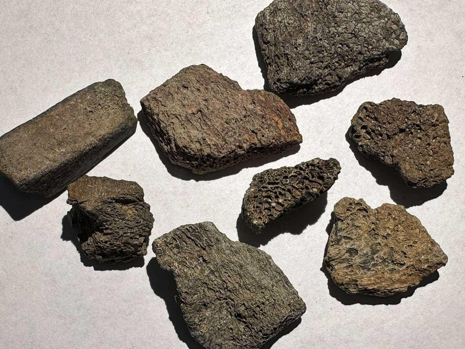 GENUINE DINOSAUR BONE FRAGMENT SPECIMEN IN THE ROUGH AUTHENTIC COLLECTORS GIFT
