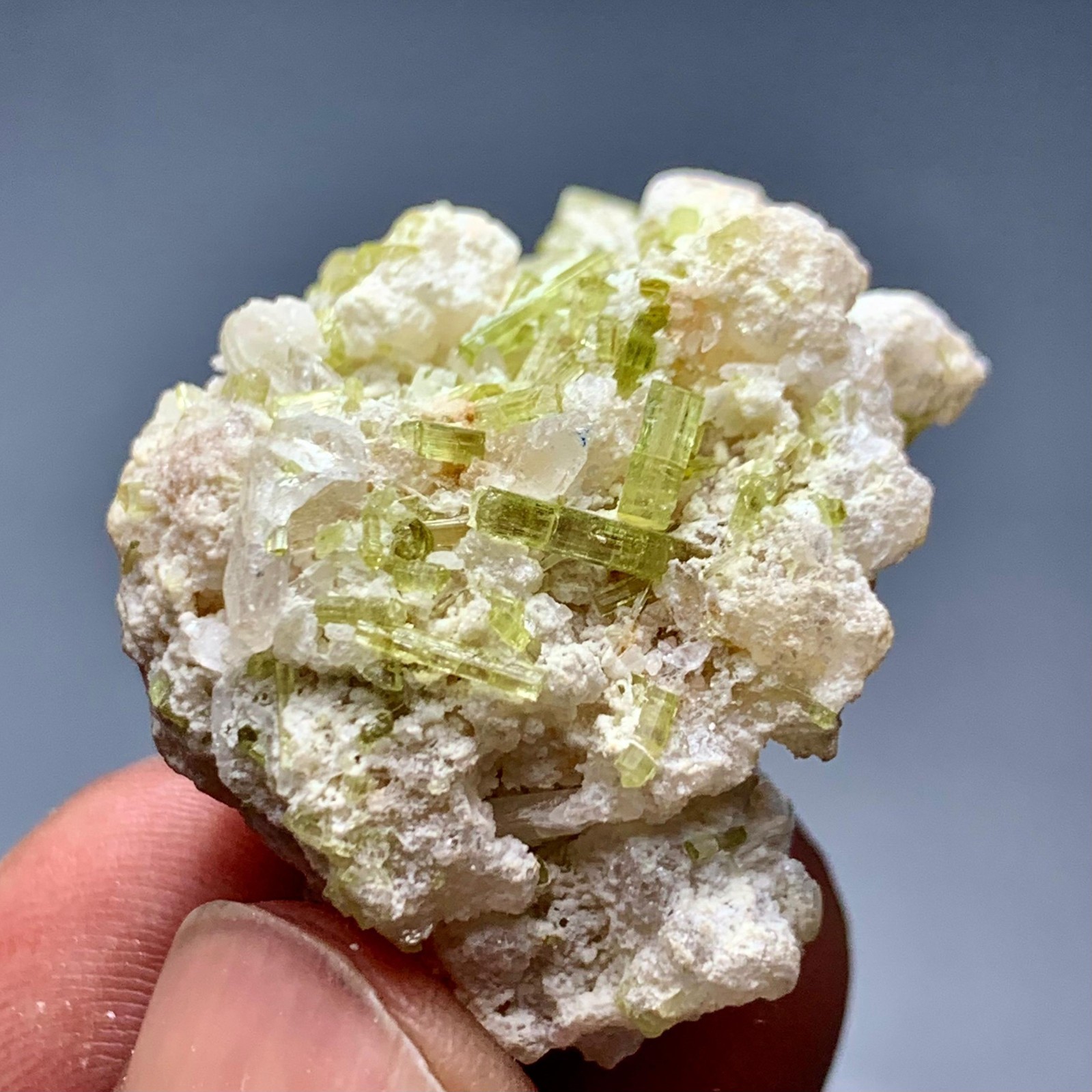 121 CT Terminated Natural Tourmaline Crystals Bunch Specimen From Afghanistan