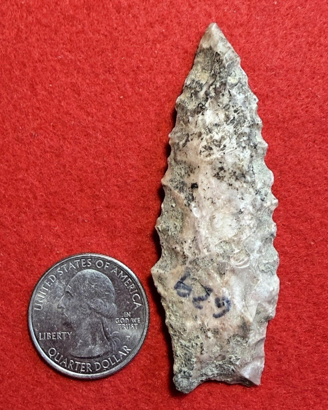 MW-01 Serrated Searcy Dalton Paleo 2 7/8\