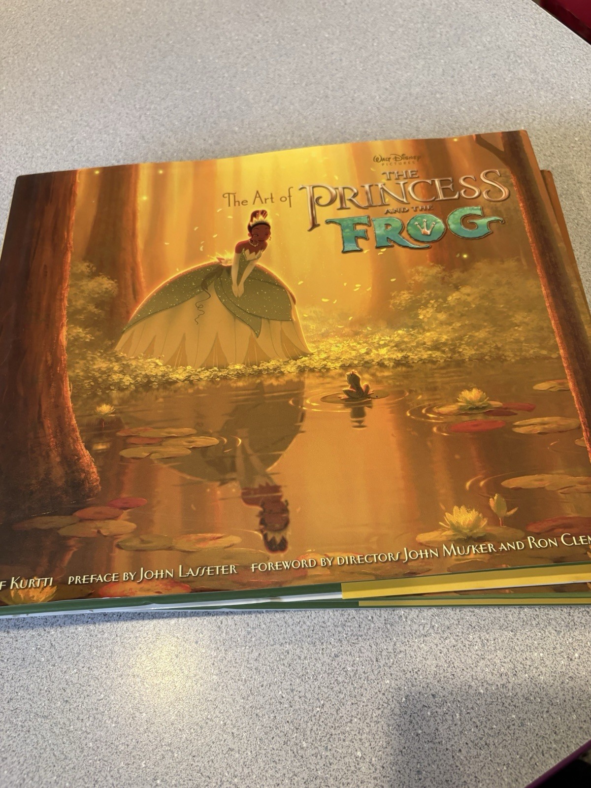 The Art of The Princess and the Frog Disney Book Studio 