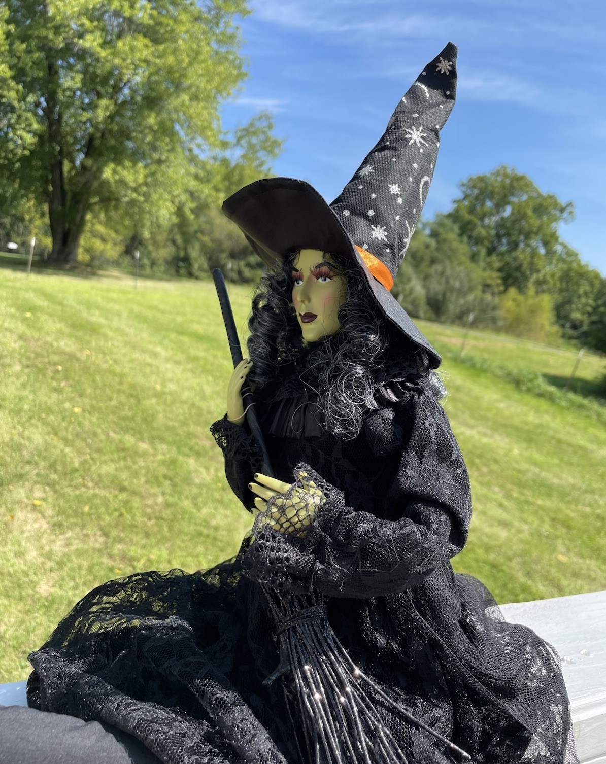 Broomstick Blvd 26