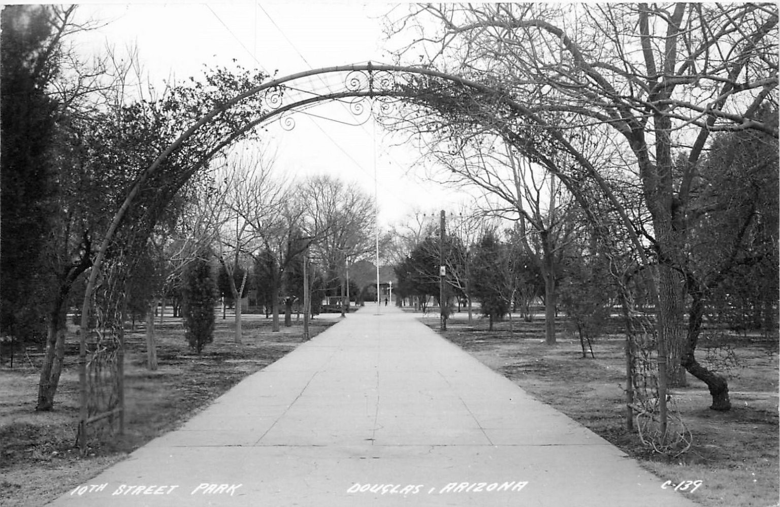 Vintage RPPC 10th Street Park Douglas, Arizona Arched Entrance c.1910s