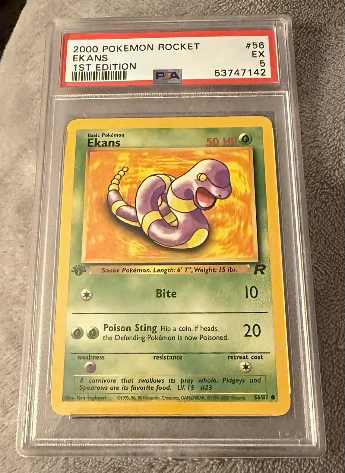 Pokémon 2000 Rocket Ekans #56/82 1st Edition PSA 5 Card 53747142