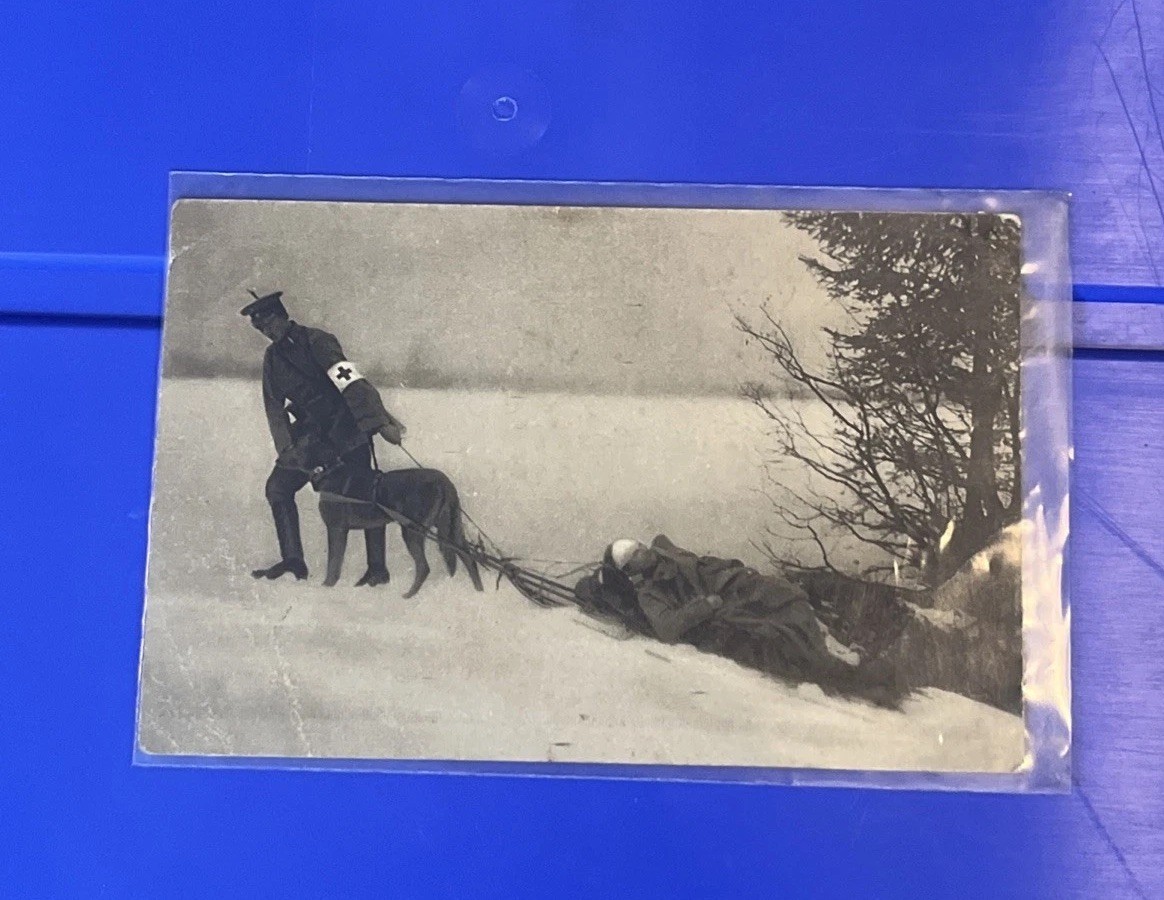 WWI Wounded German Soldier Pulled By Medical Dog Germany Postcard WWI Wounded German Soldier Pulled By Medical Dog Germany Postcard