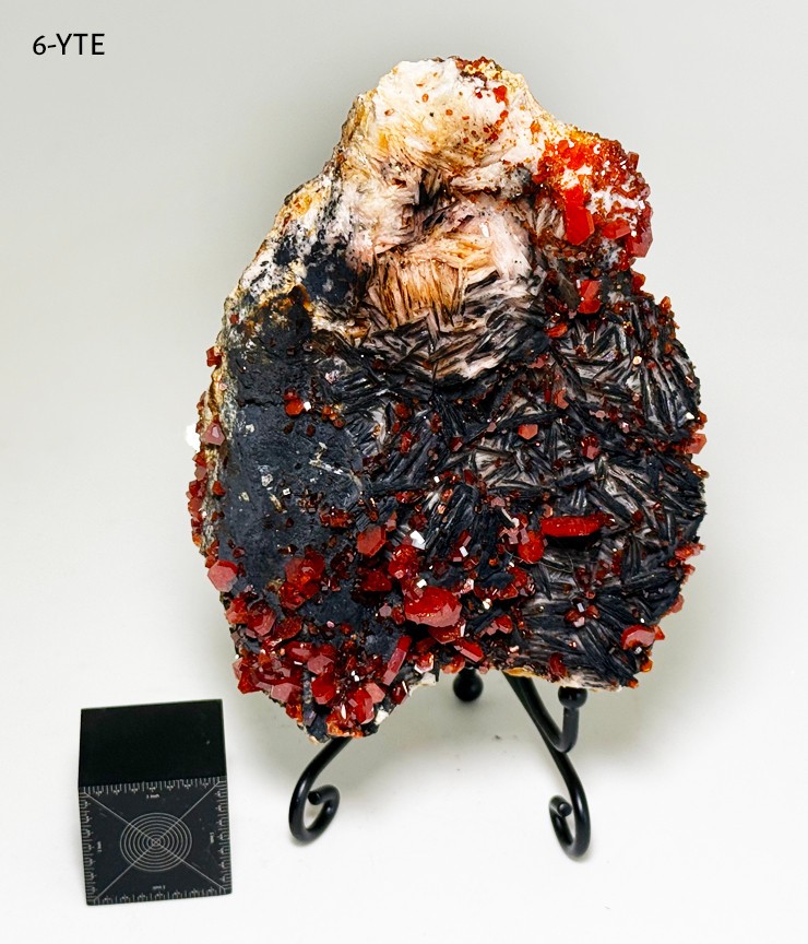 Vanadinite Museum Grade Specimen Large 1.19lb - US Seller See insane video @