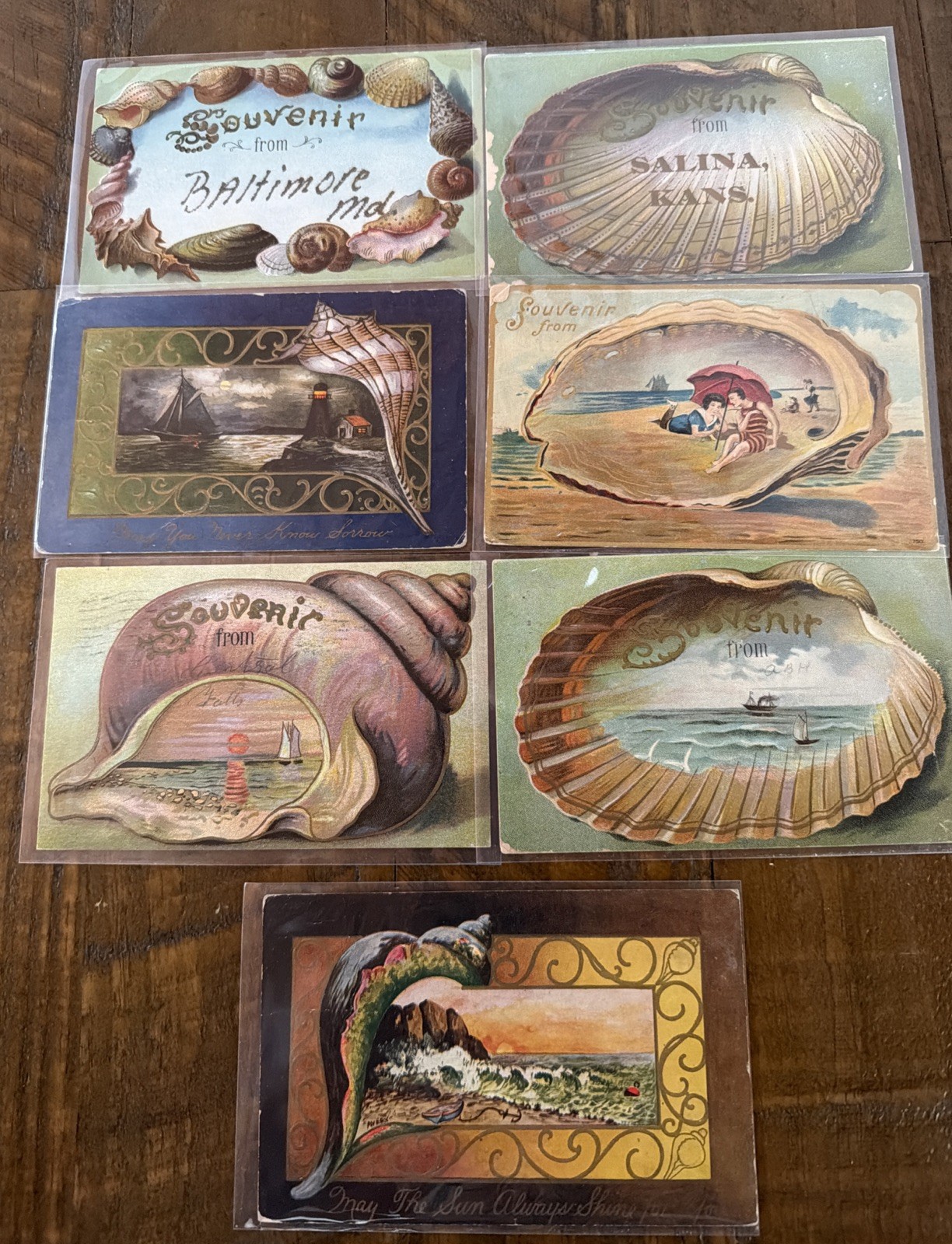 Lot of 7 Antique Souvenir Shells & Seashell Border~Postcards~s533