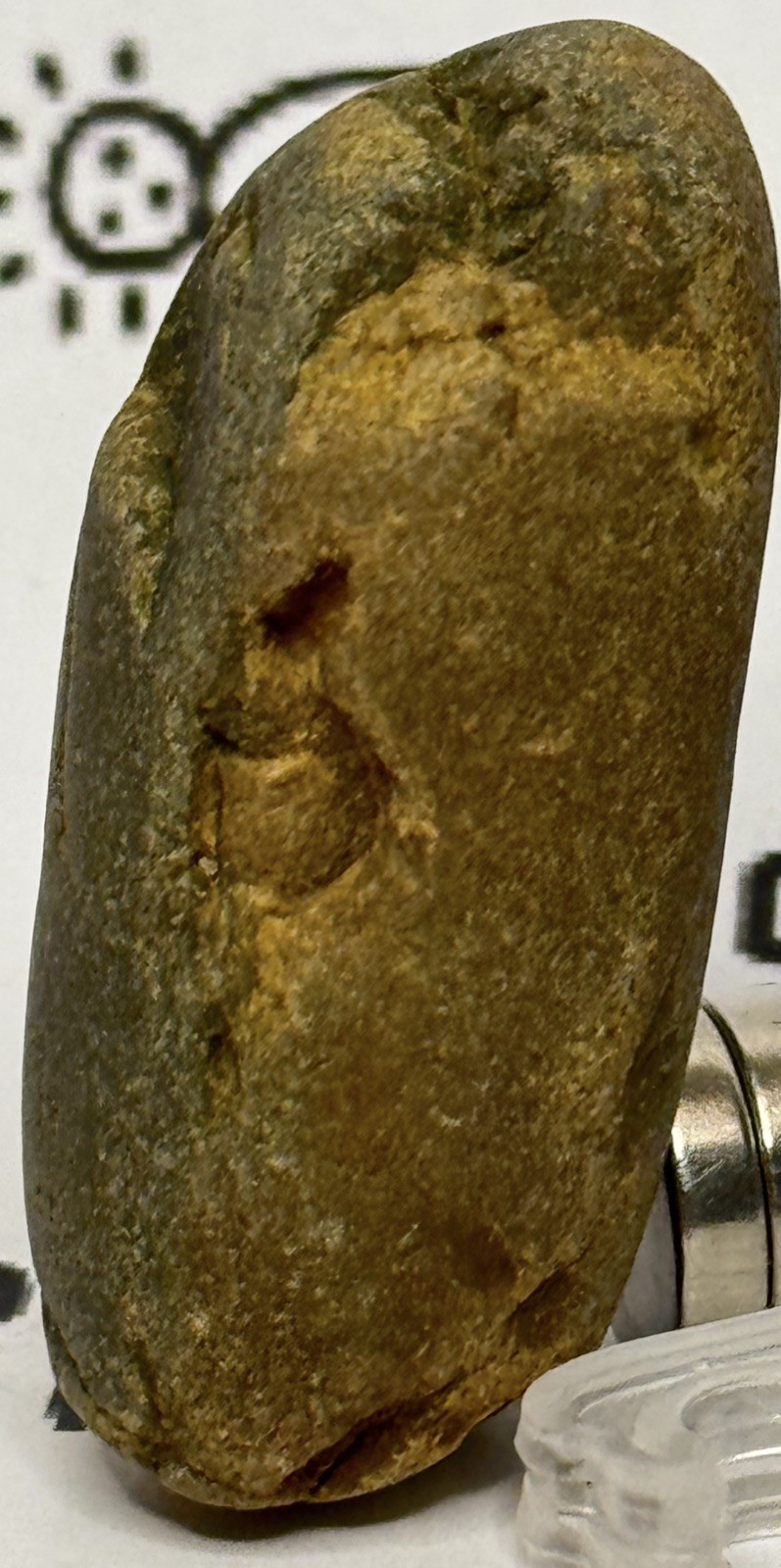 Native American Indian Authentic Carved Stone Ancient Effigy  1.6 oz • VA 
