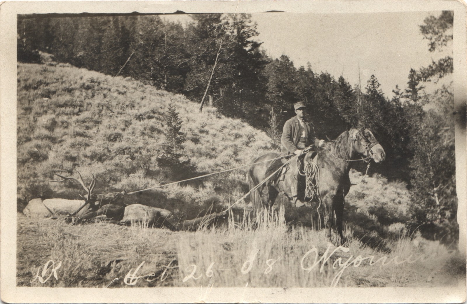 HAULING DEAD ELK wyoming wy 1908 postcard real photo rppc hunting hunter horse HAULING DEAD ELK wyoming wy 1908 postcard real photo rppc hunting hunter horse