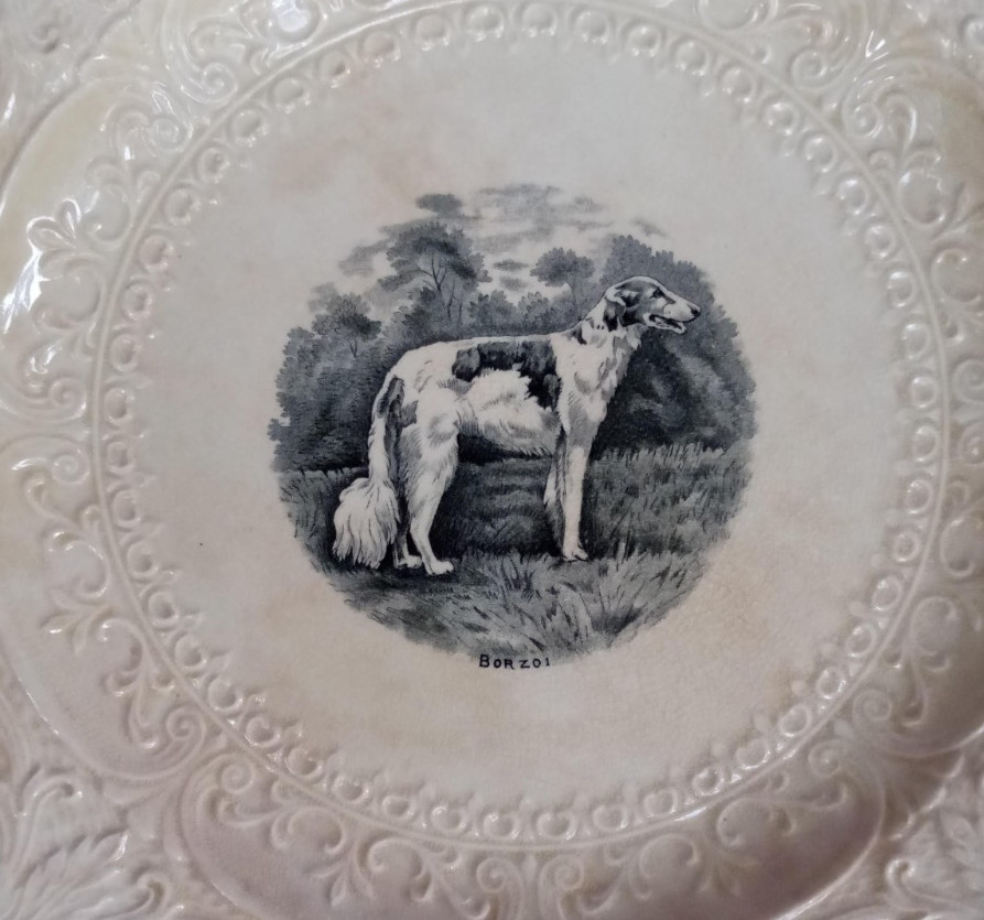 BORZOI DOG PLATE ROYAL CAULDON ENGLAND RIDGEWOOD 12