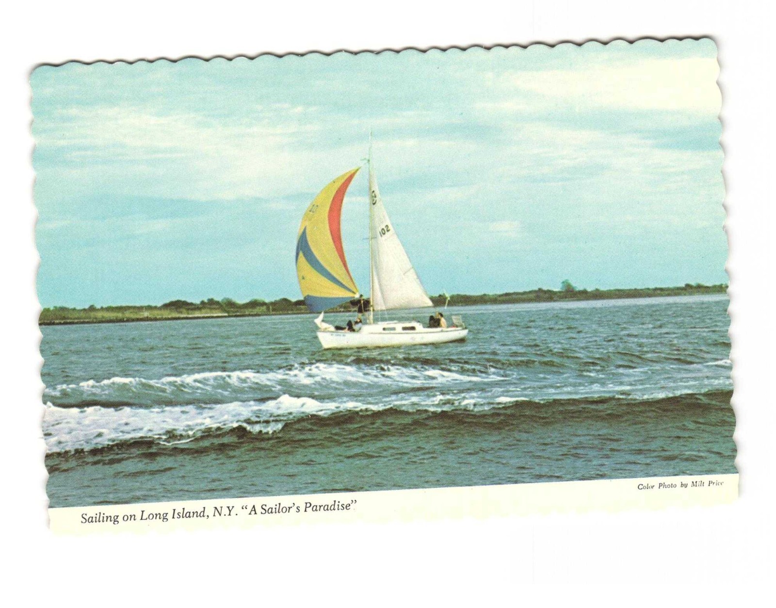 Sailing on Long Island NY a Sailors Paradise vintage postcard unposted