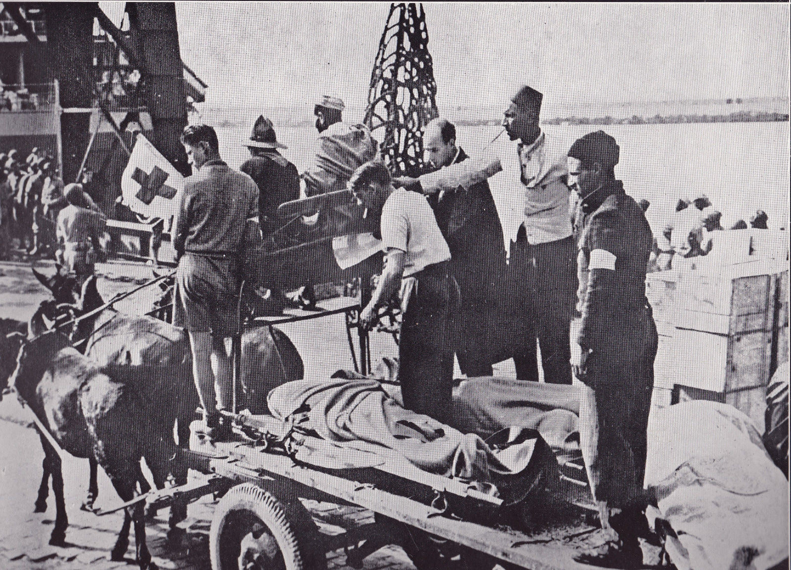 Red Cross Wagon Hauling Dead Soldiers WWII Dispatch Photo News Service  
