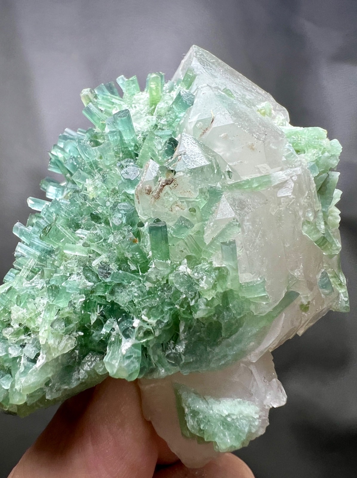 234g Exquisite Green Tourmaline Needle Crystal Bunch on Quartz - Afghan Specimen