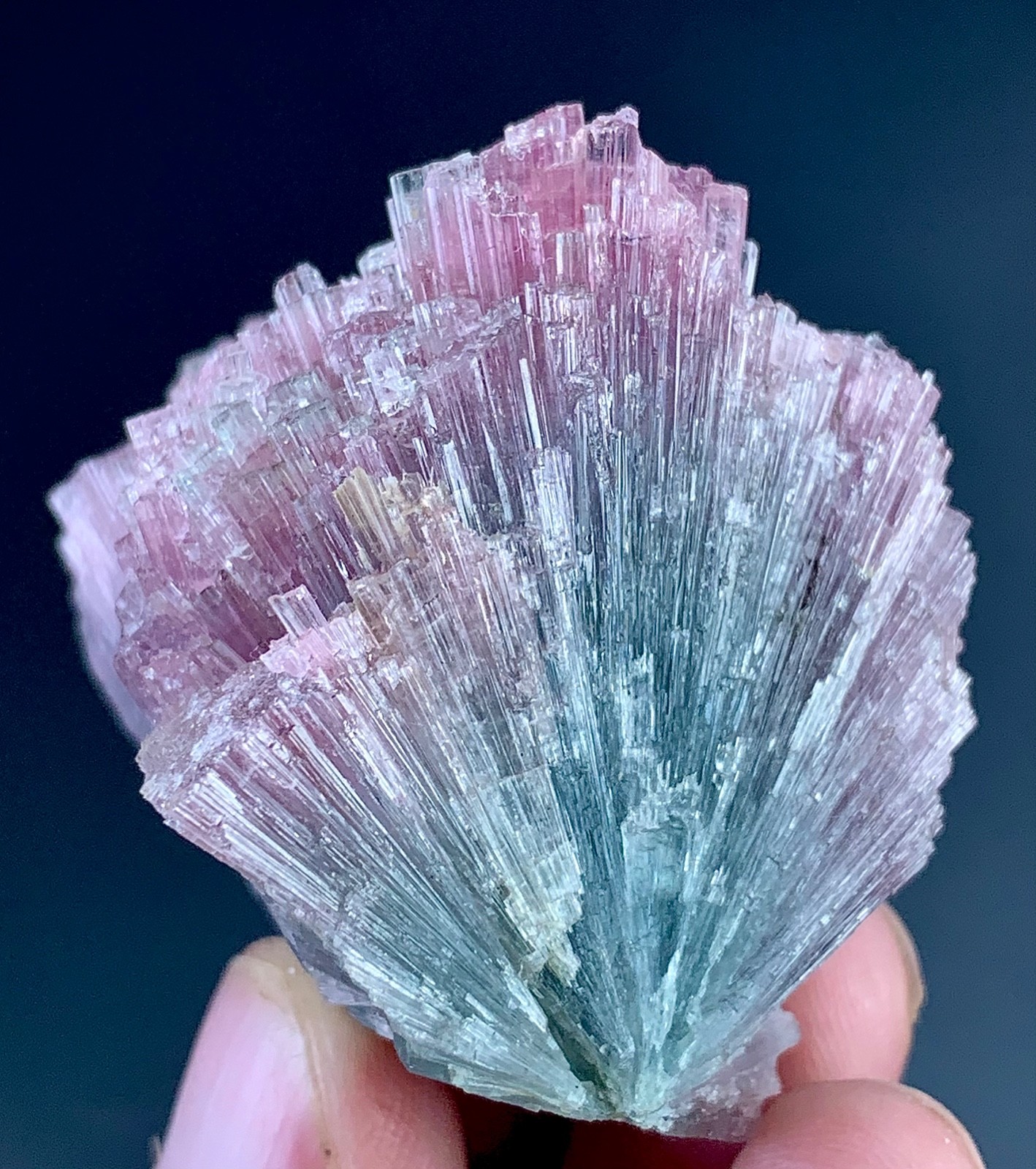 Bi Colour Tourmaline Crystal From Afghanistan 427 Carat
